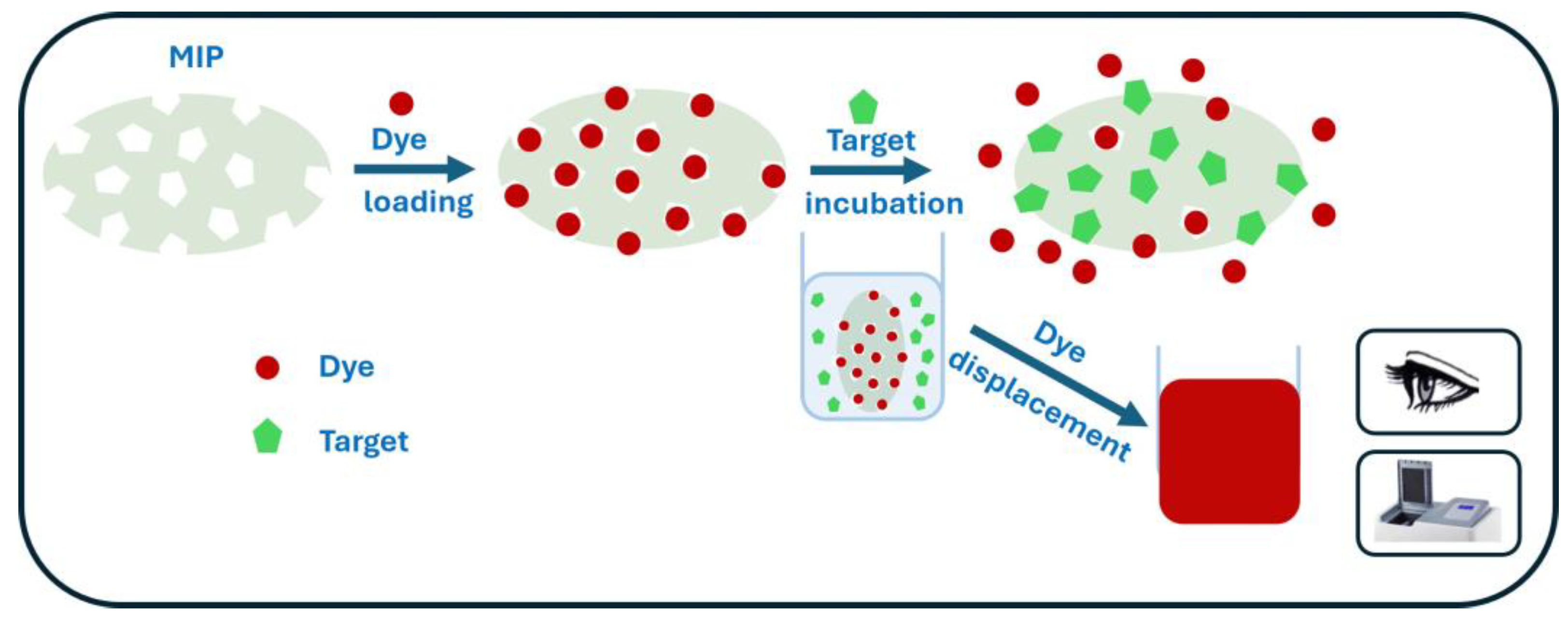 Chemosensors 13 00163 sch006