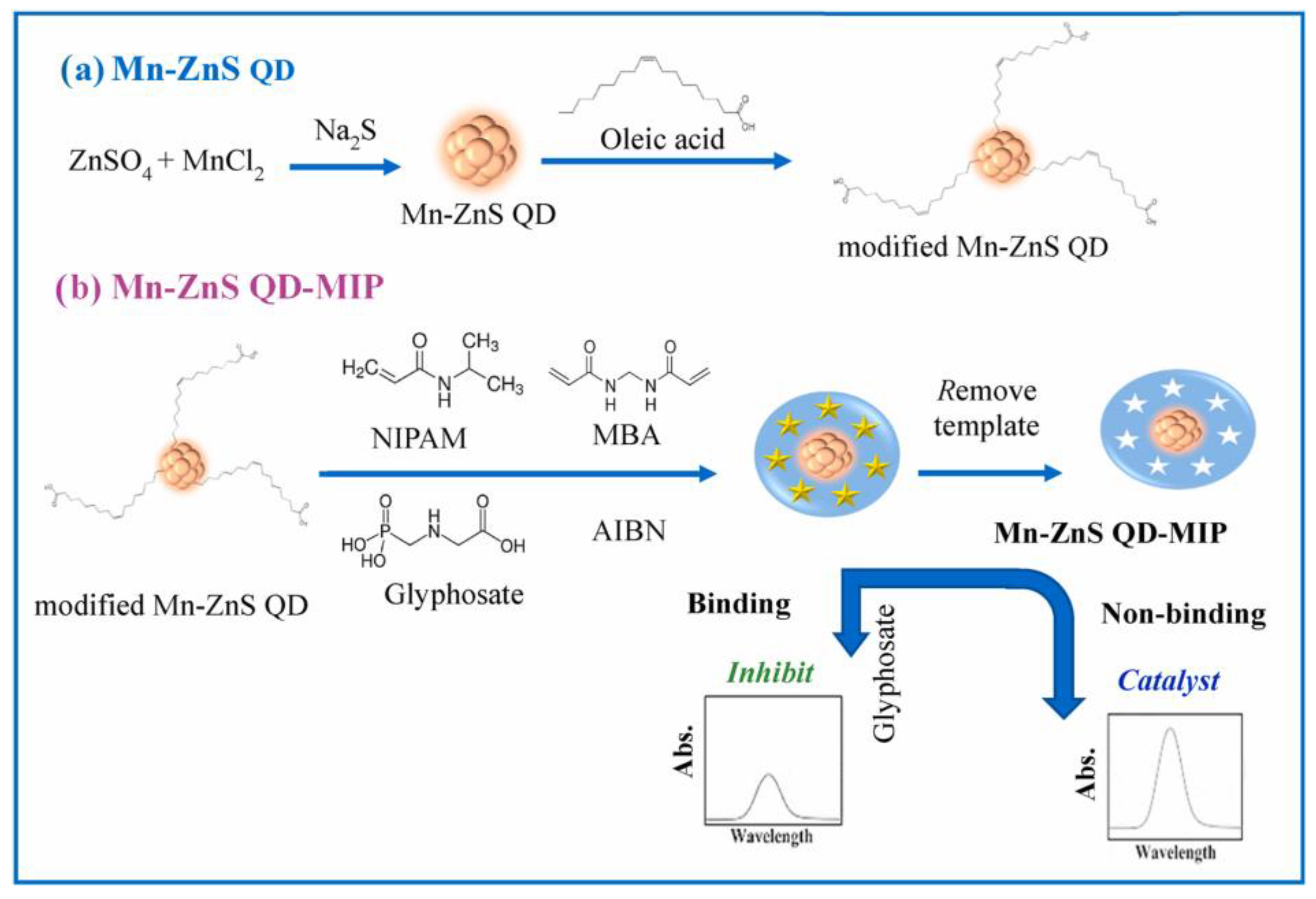 Chemosensors 13 00163 sch008
