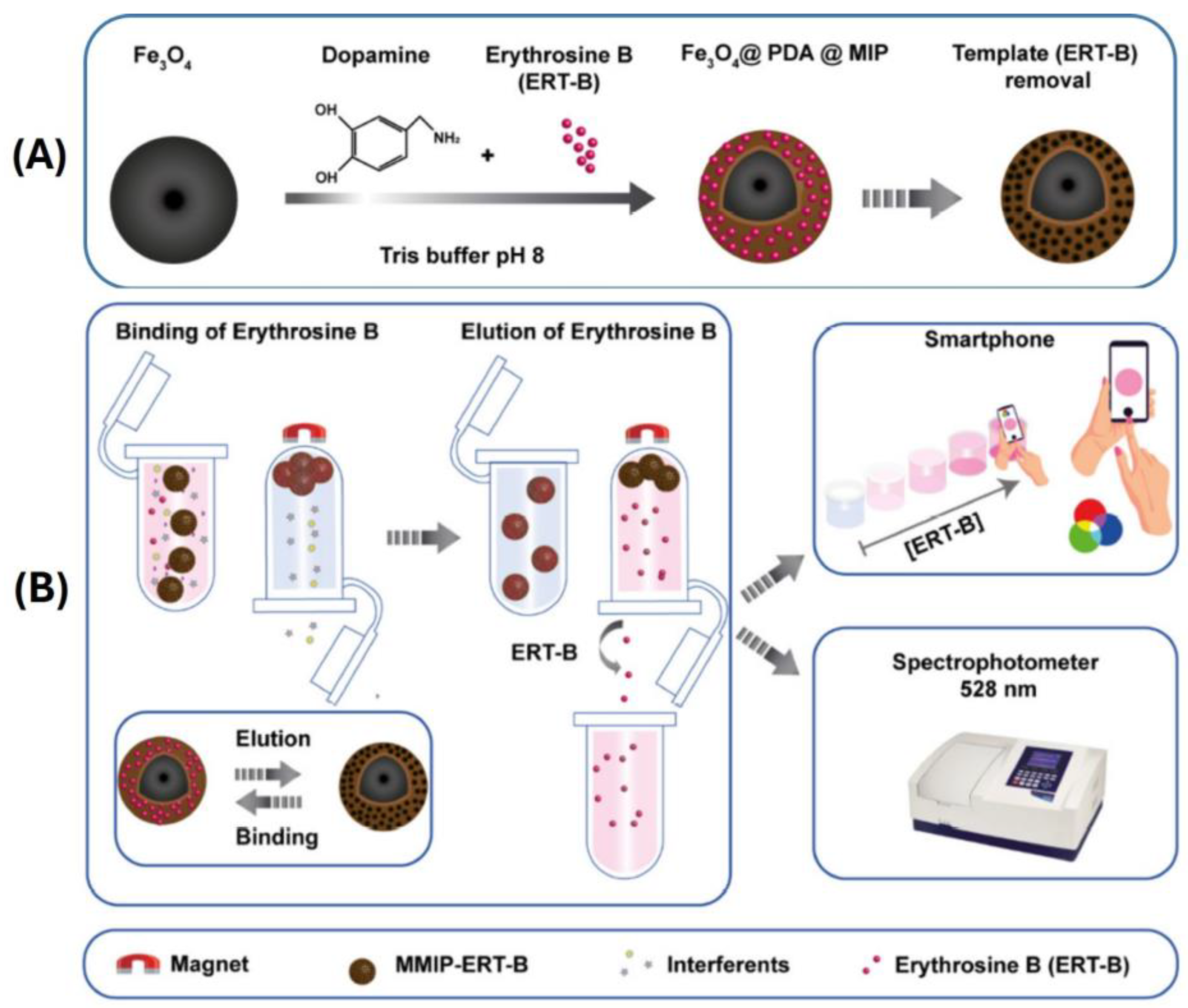 Chemosensors 13 00163 sch010