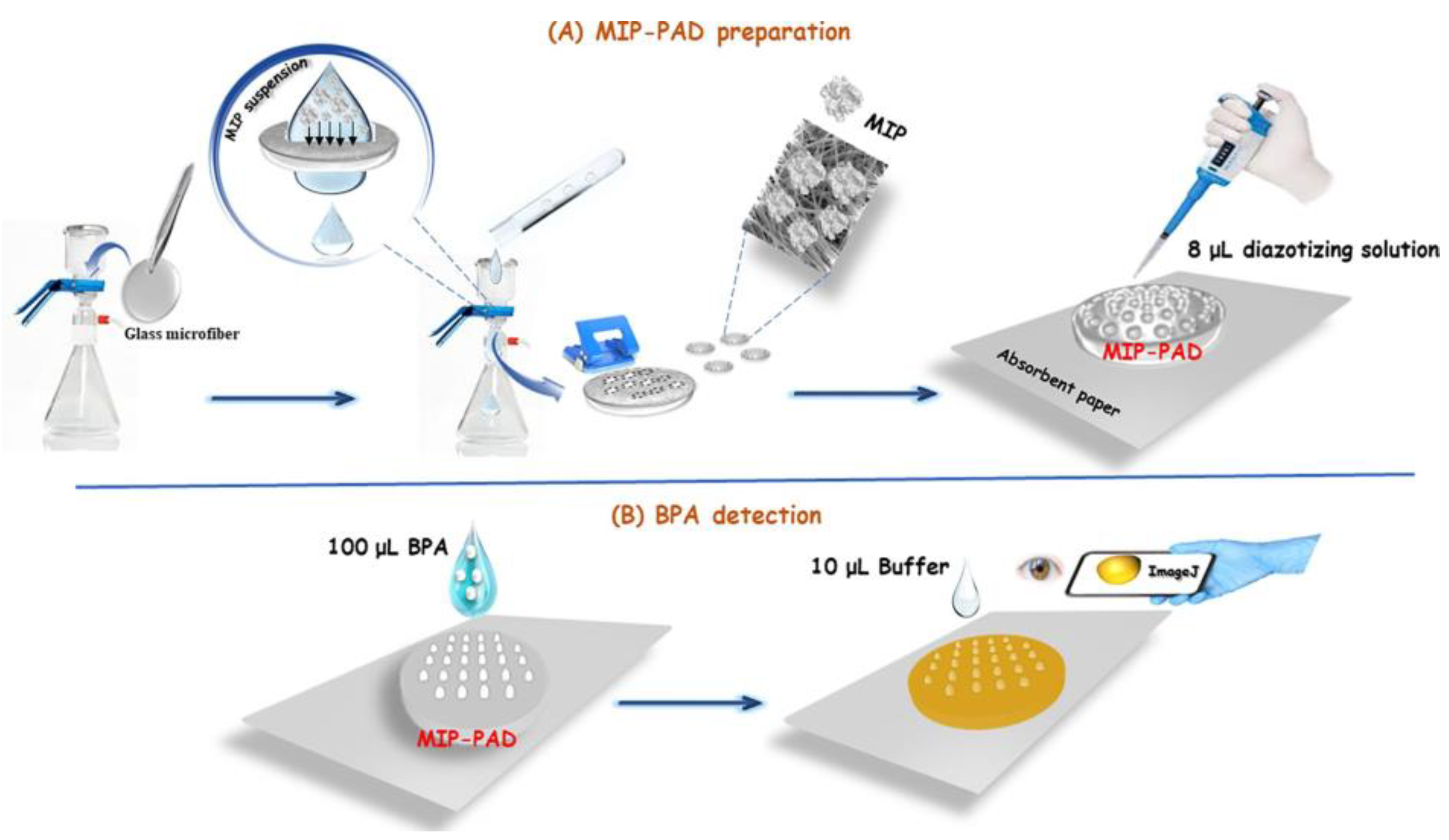 Chemosensors 13 00163 sch011