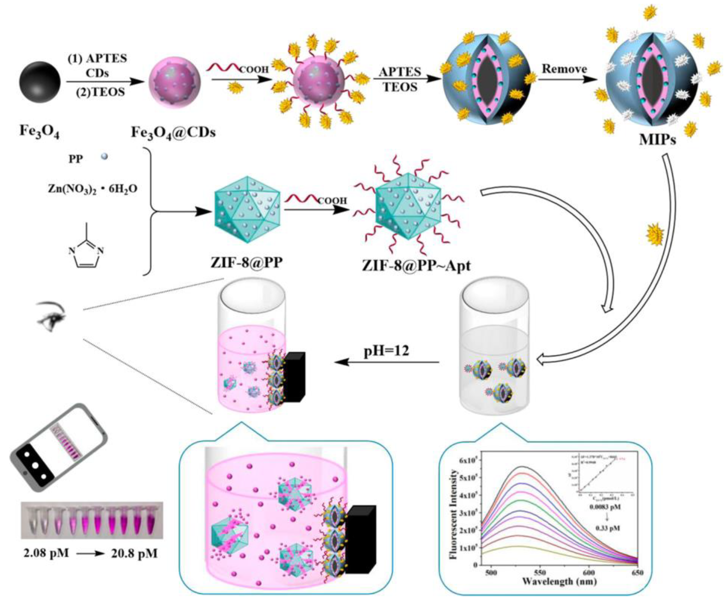 Chemosensors 13 00163 sch013