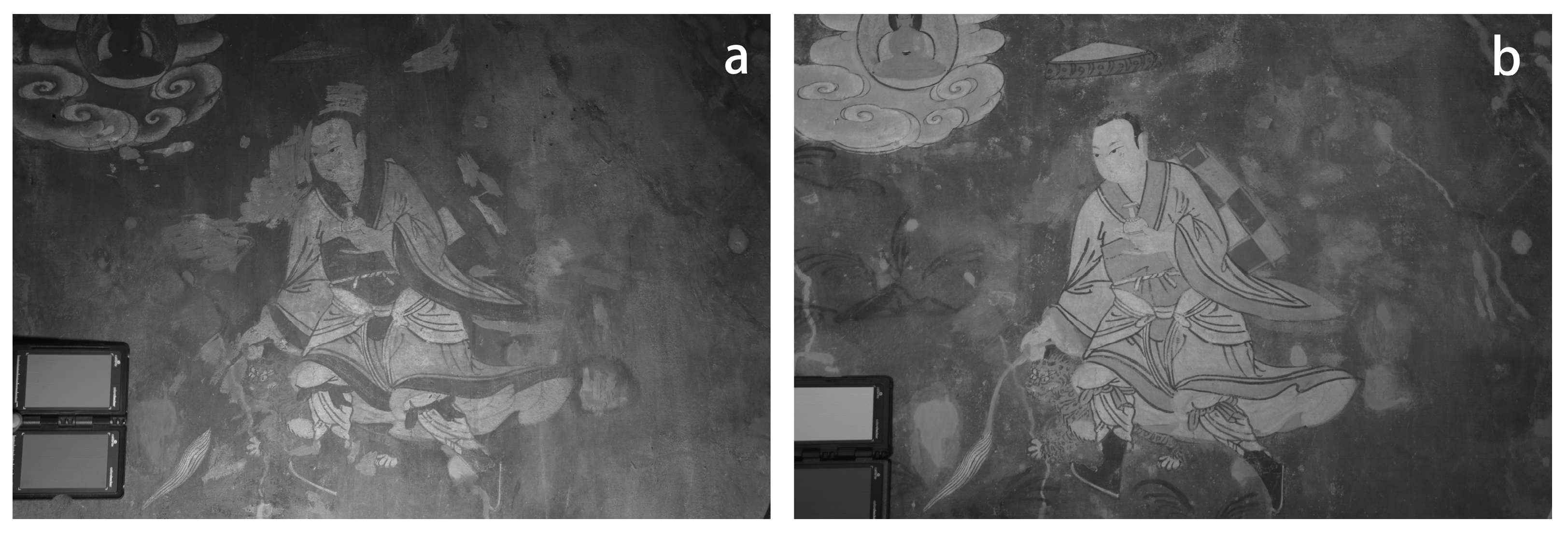 Chemosensors 13 00202 g013 Chemosensors 13 00202 g013