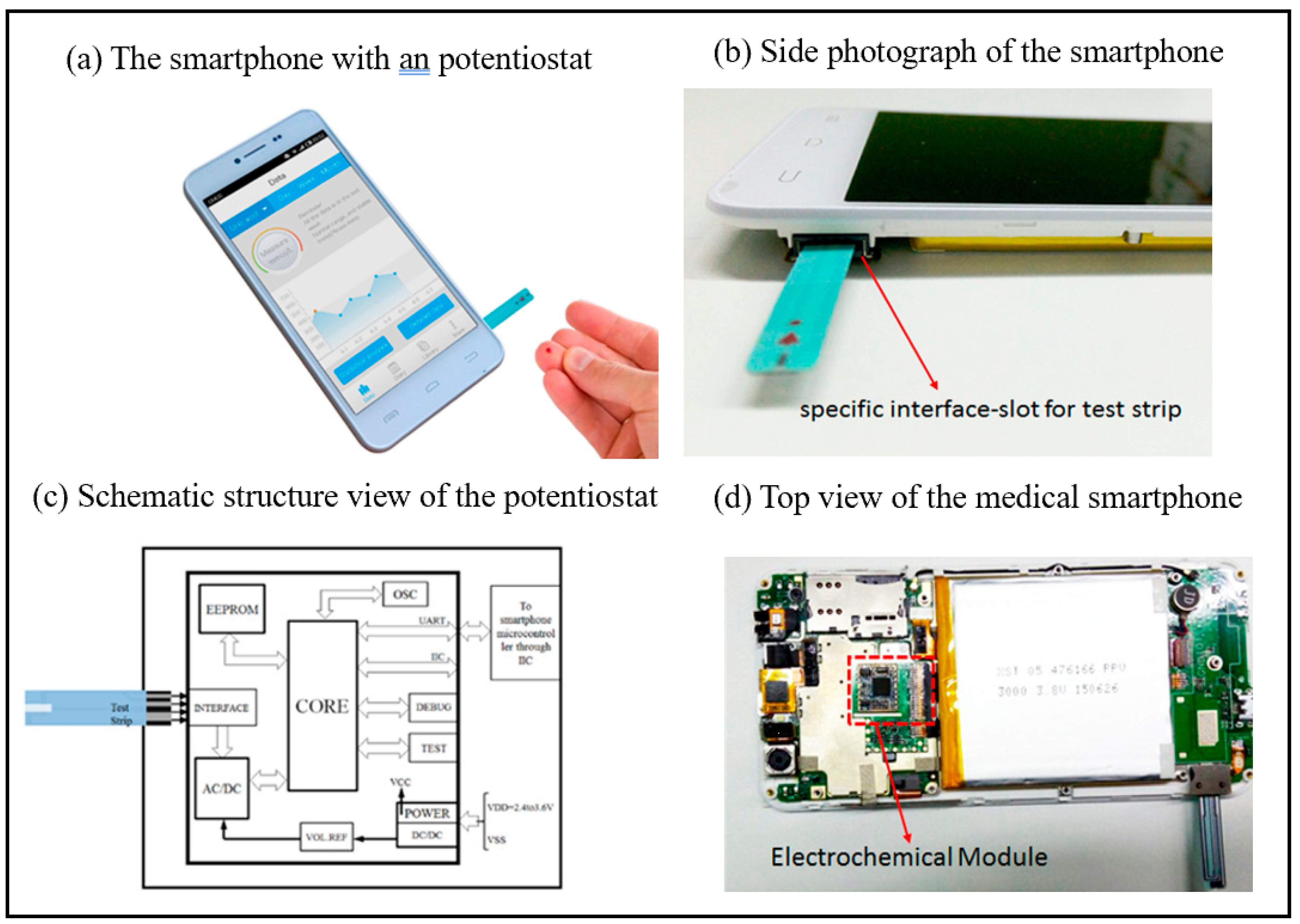 Chemosensors 13 00221 g002