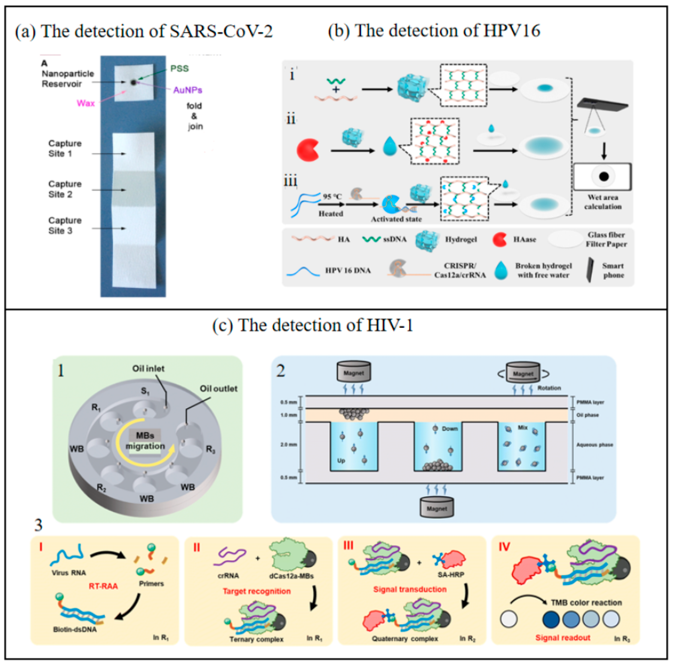 Chemosensors 13 00221 g008