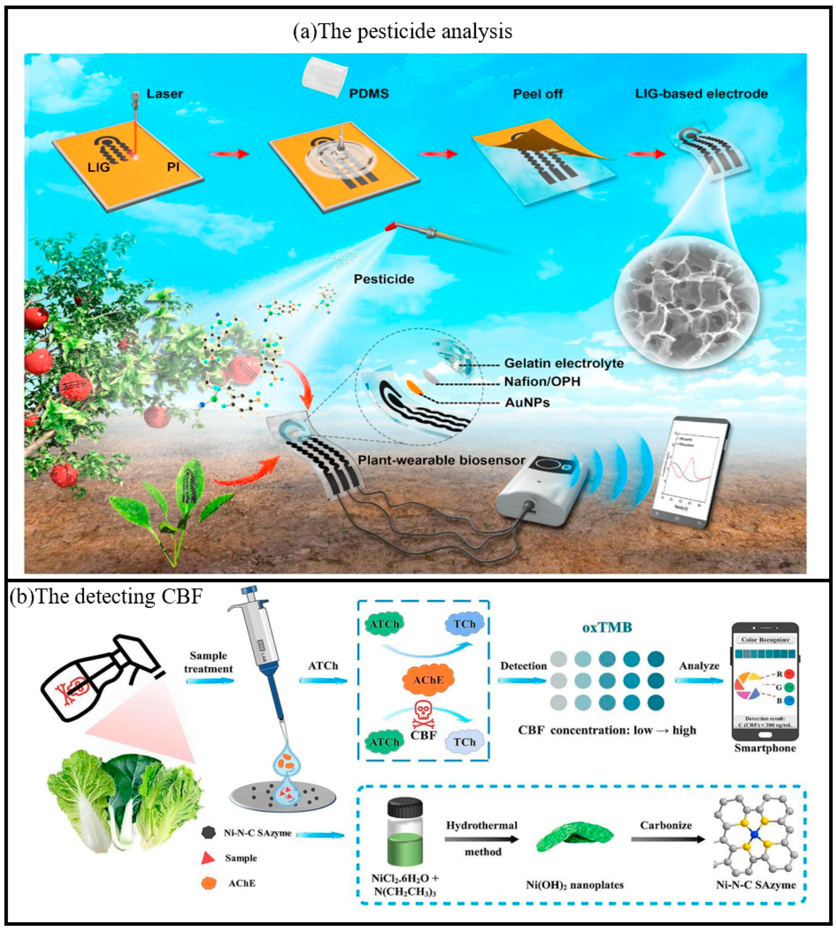 Chemosensors 13 00221 g010
