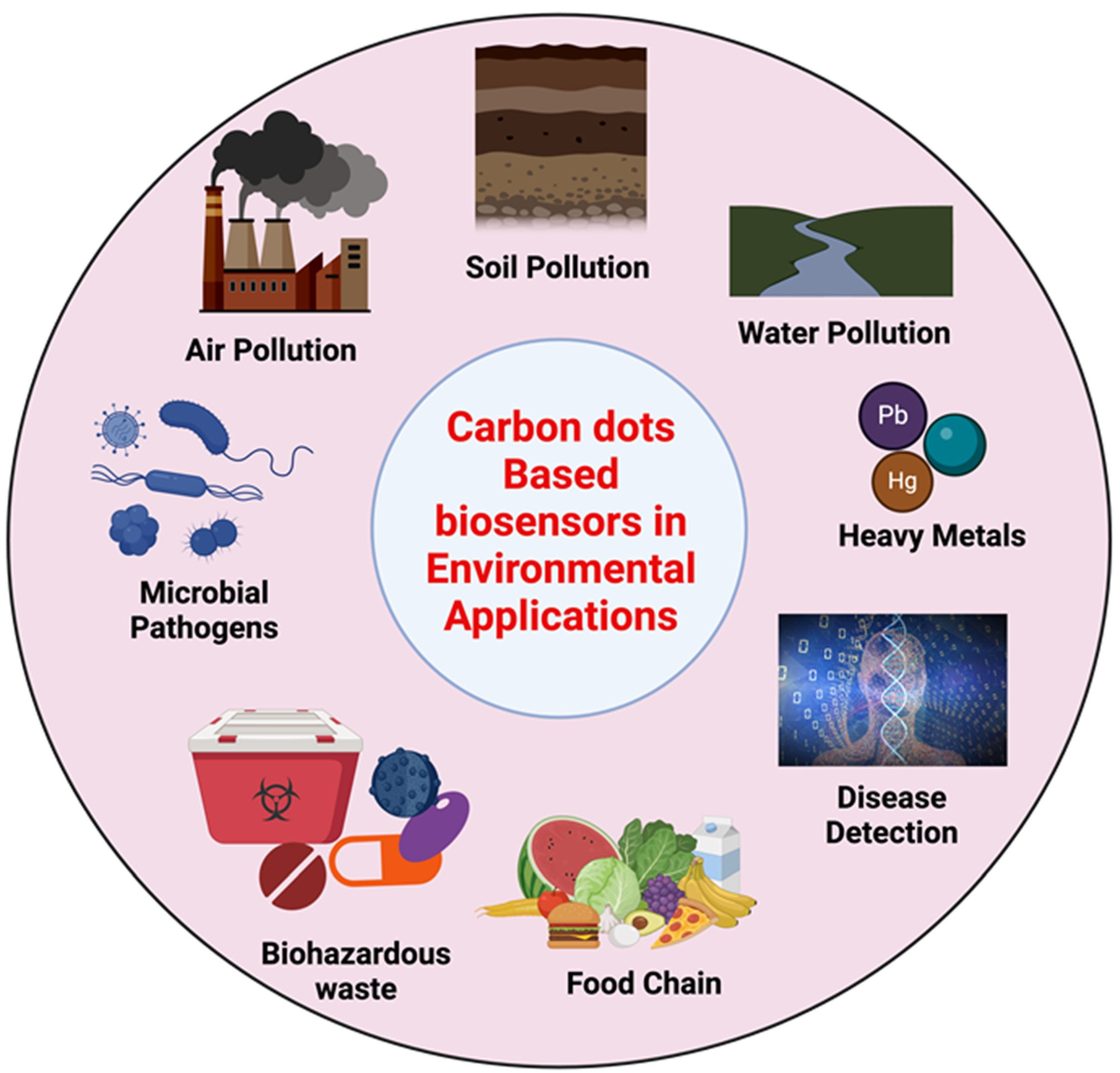 Chemosensors 13 00241 g001