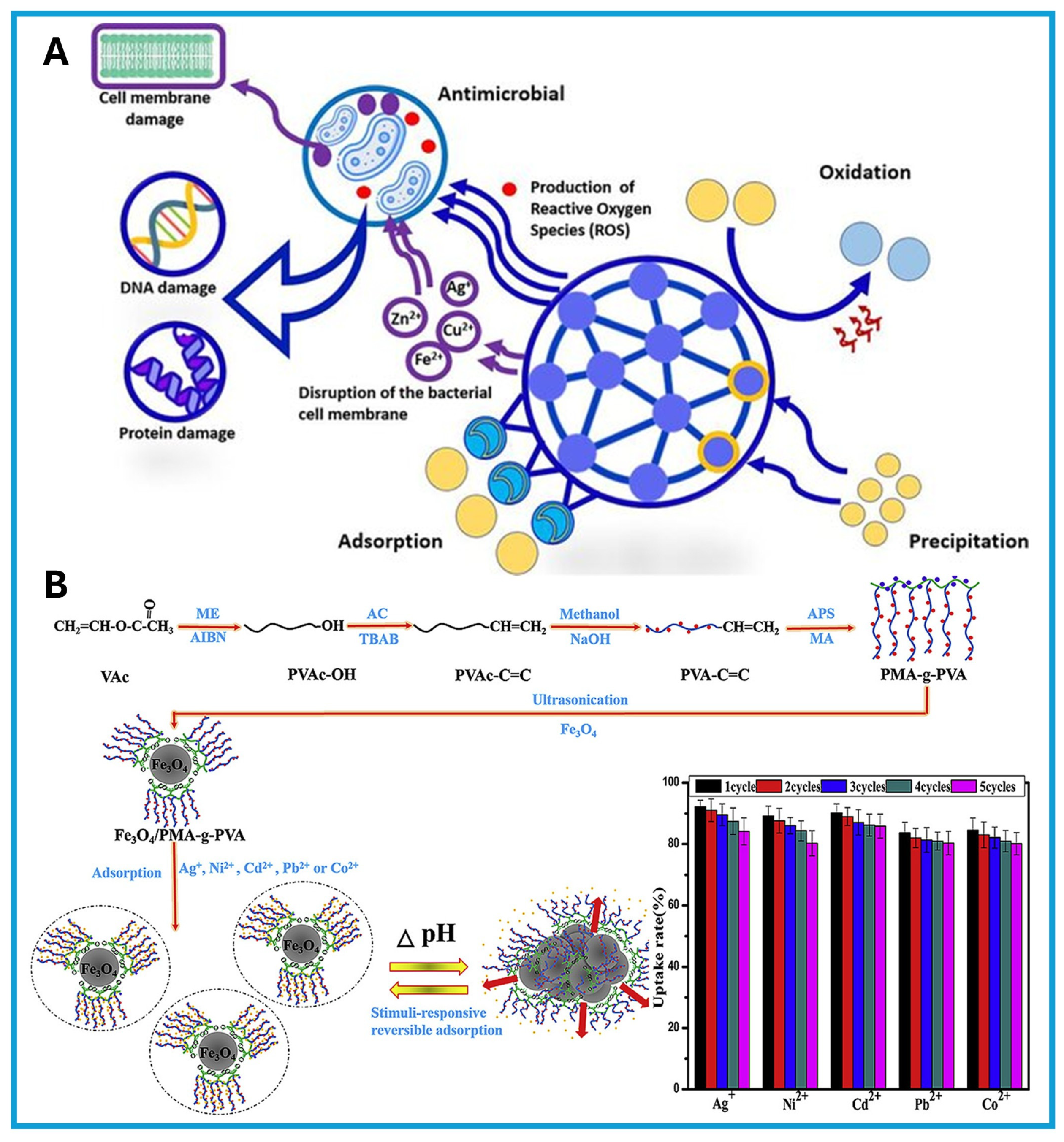 Chemosensors 13 00241 g003