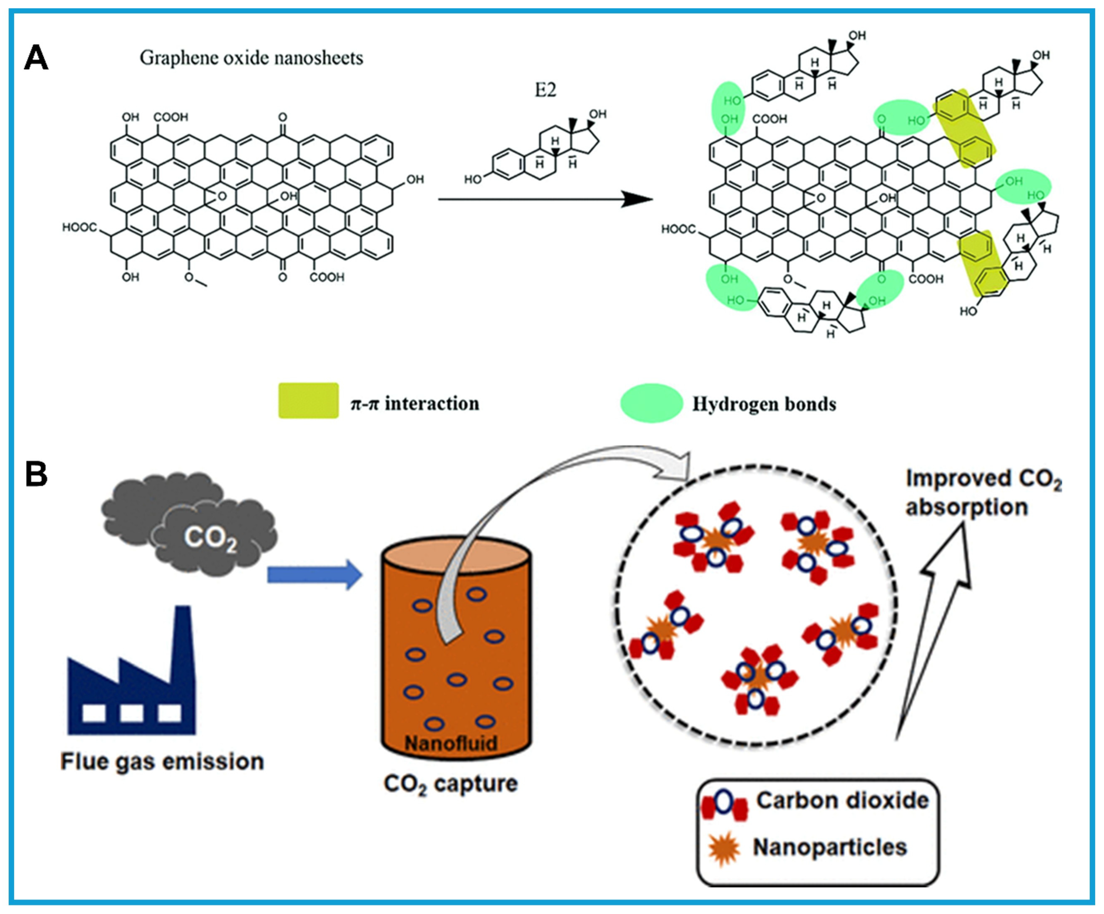 Chemosensors 13 00241 g005
