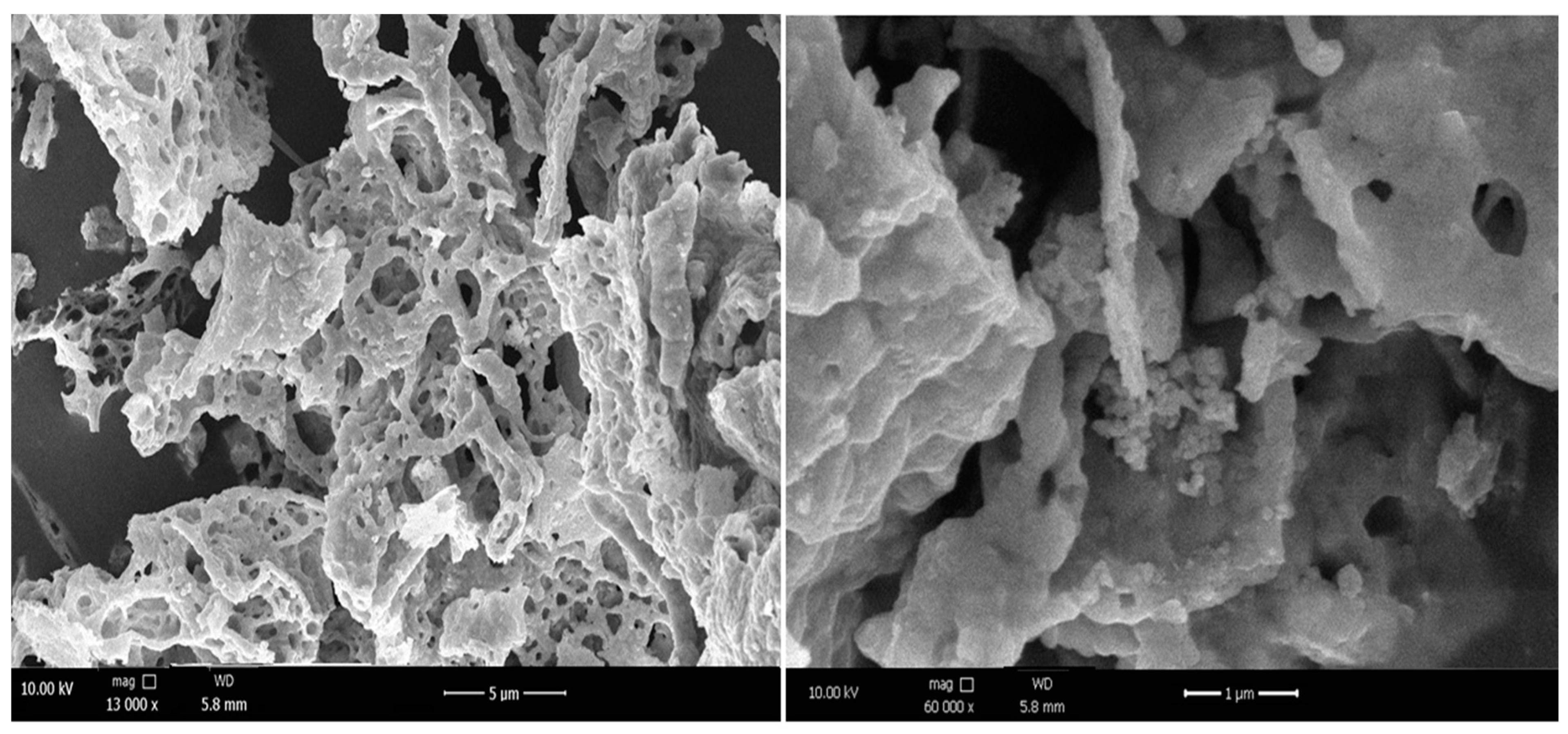 Chemproc 03 00052 g004