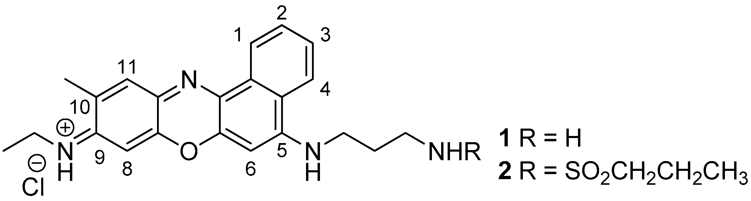Chemproc 03 00063 g001