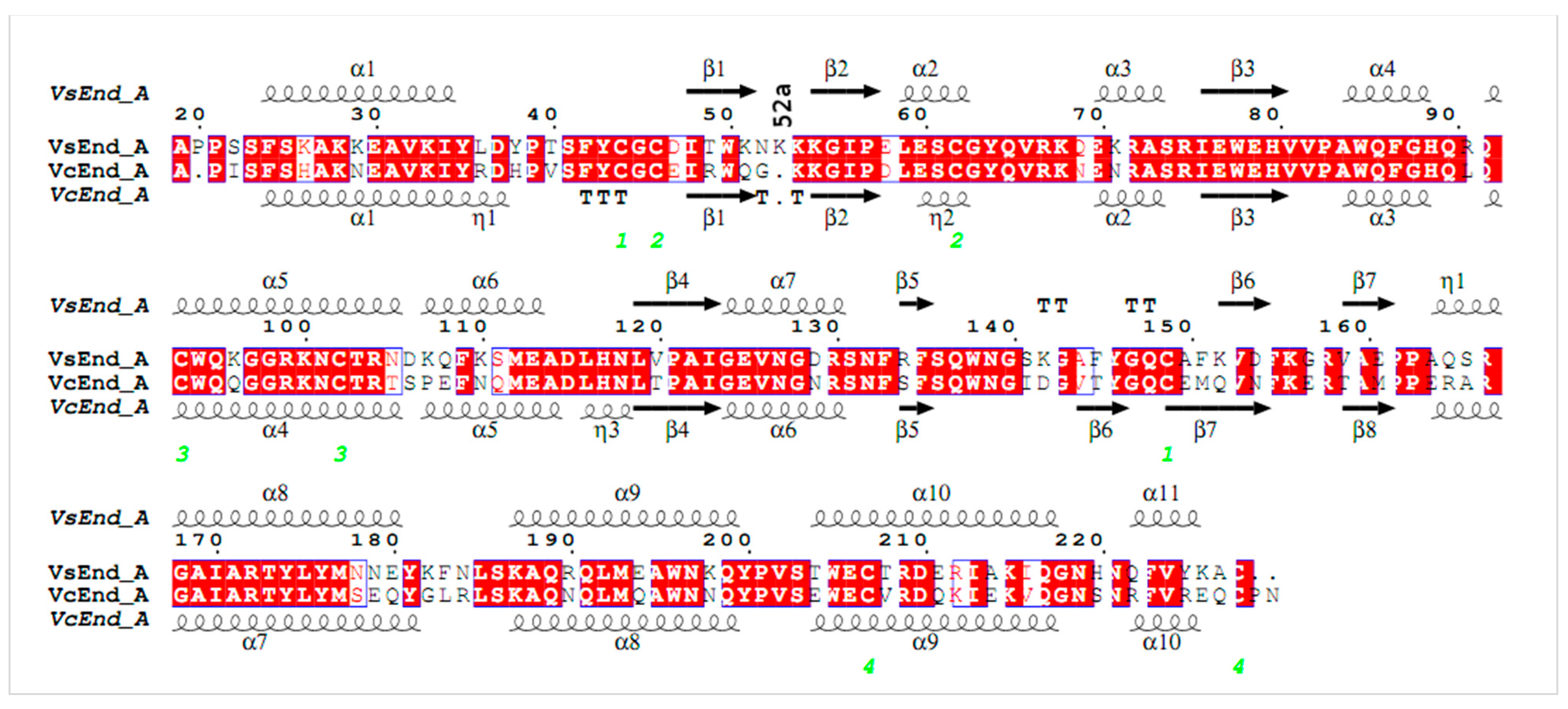 Chemproc 03 00128 g004