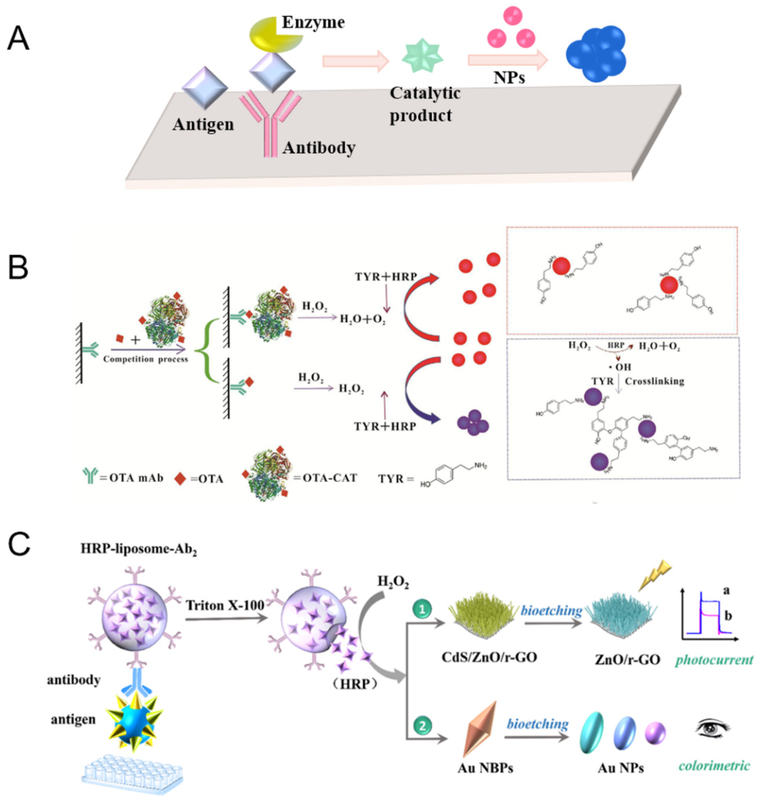 Chemproc 05 00025 g002