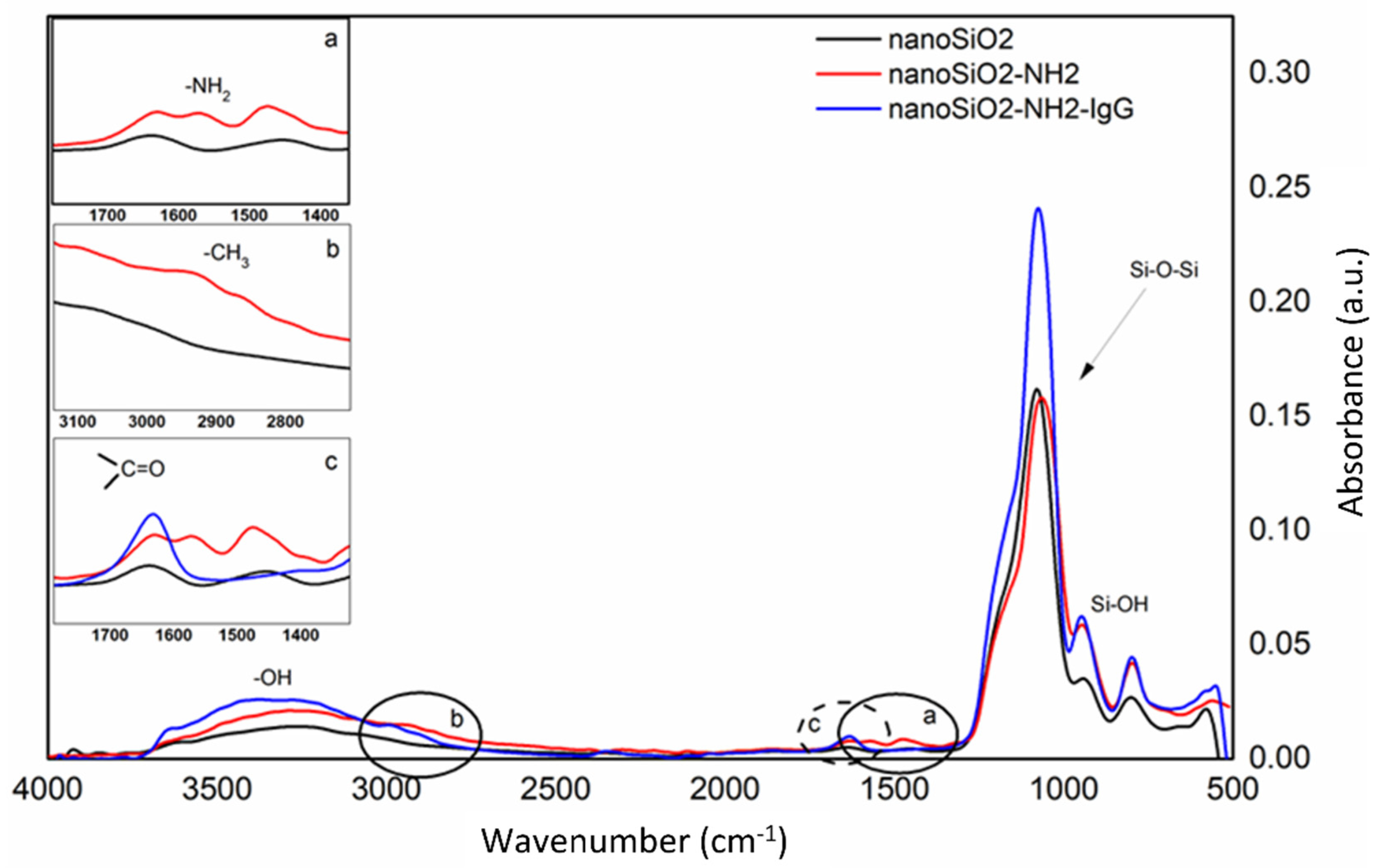 Chemproc 05 00048 g003