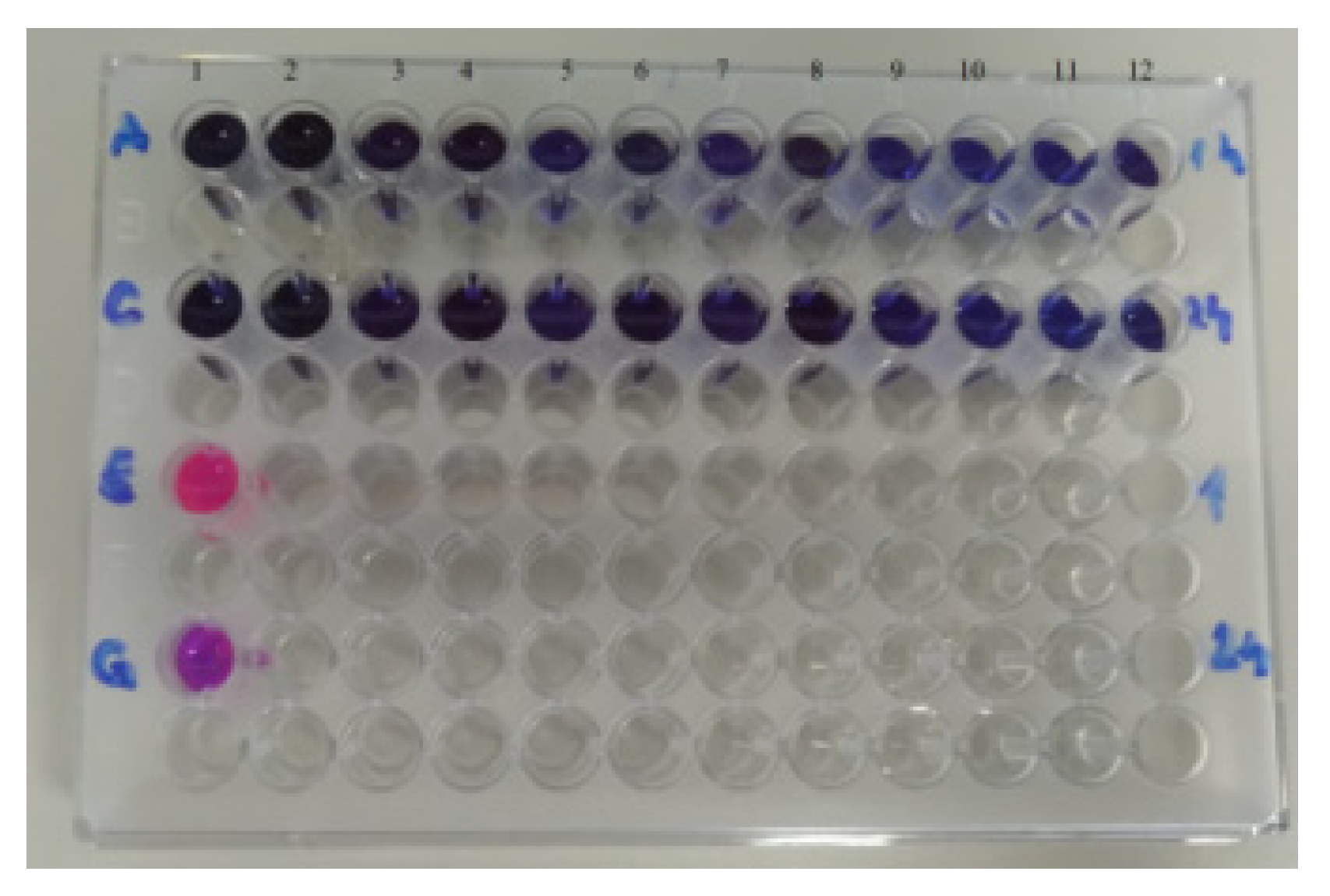 Chemproc 07 00022 g003