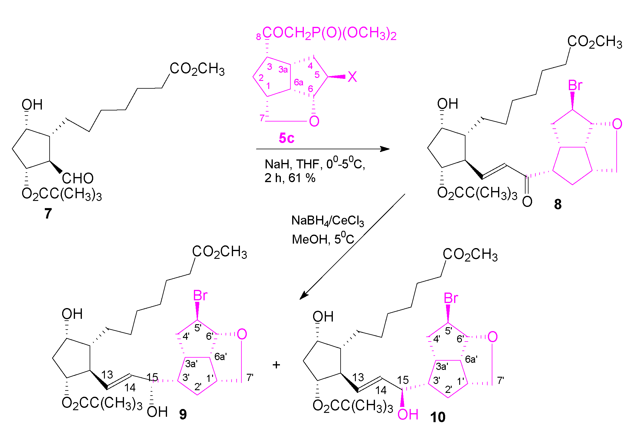 Chemproc 07 00084 sch002
