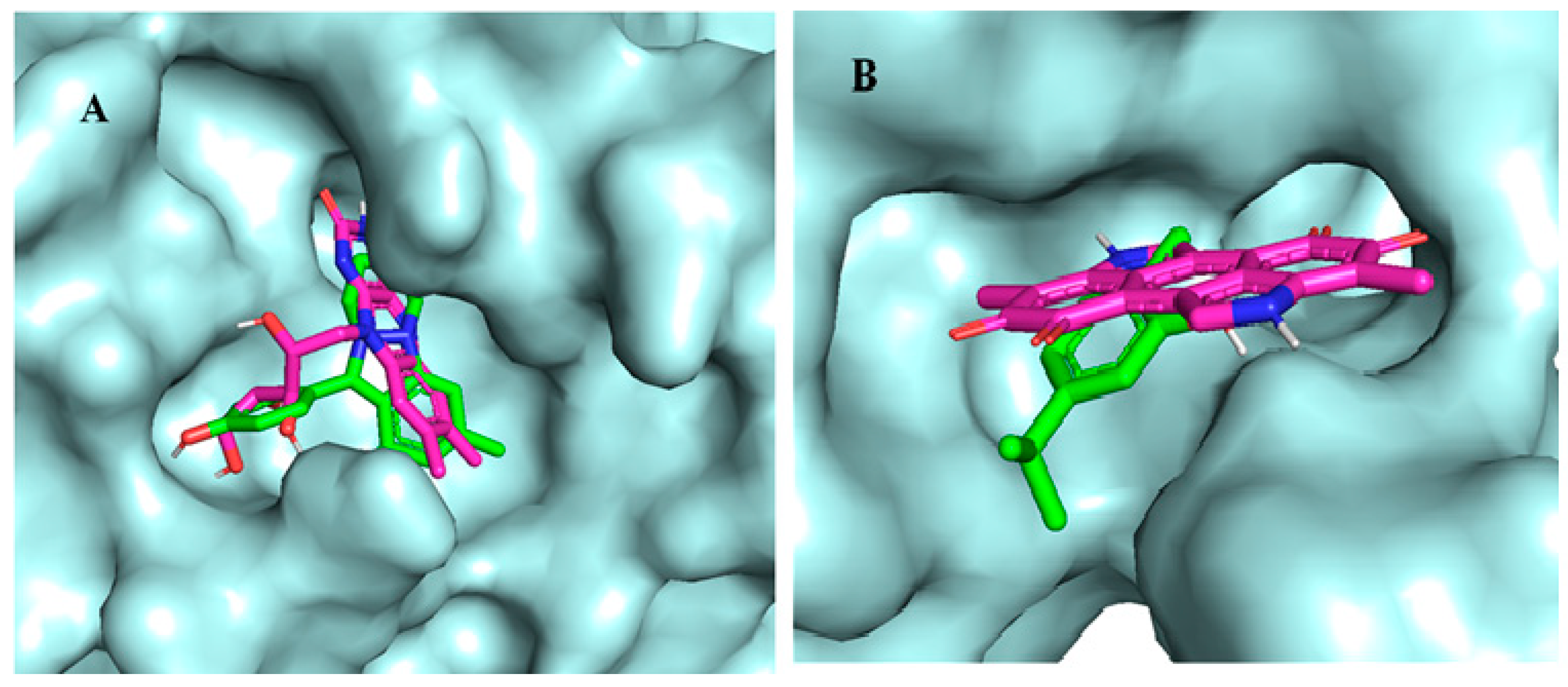 Chemproc 12 00011 g002