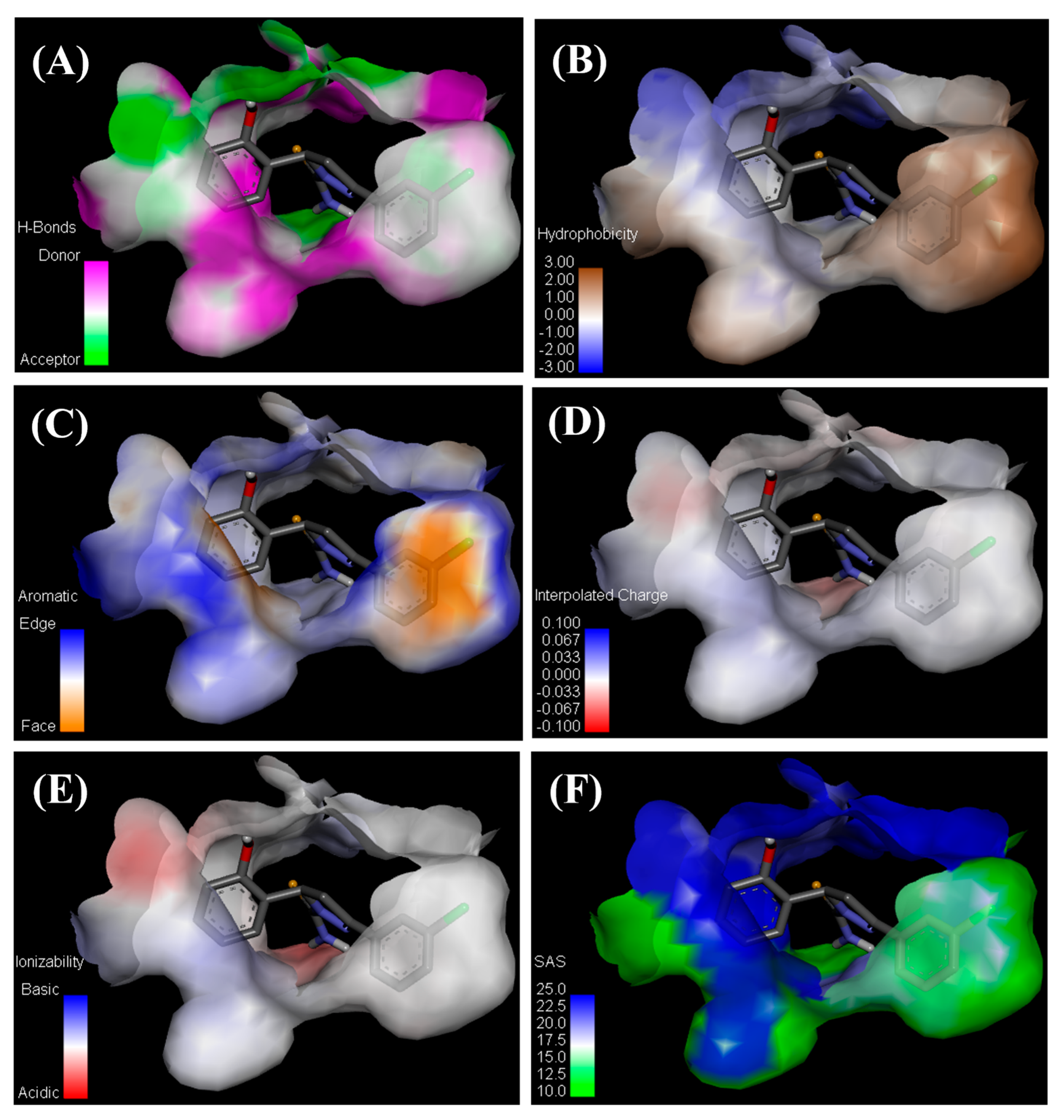 Chemproc 12 00078 g005 Chemproc 12 00078 g005