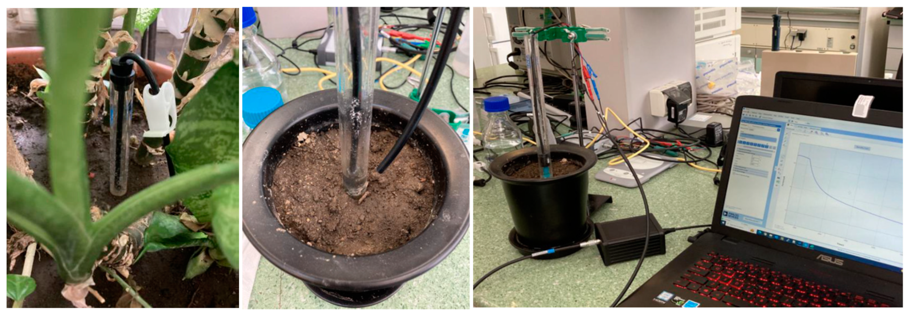 Chemproc 13 00002 g006