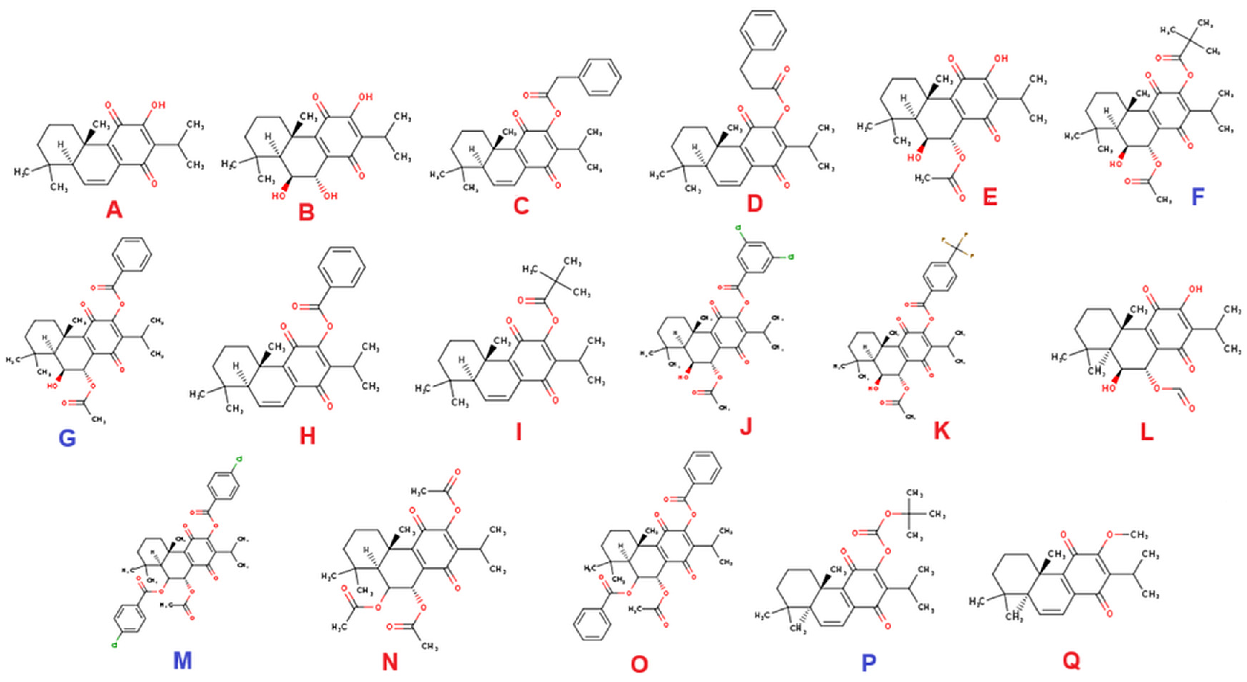 Chemproc 16 00035 g002