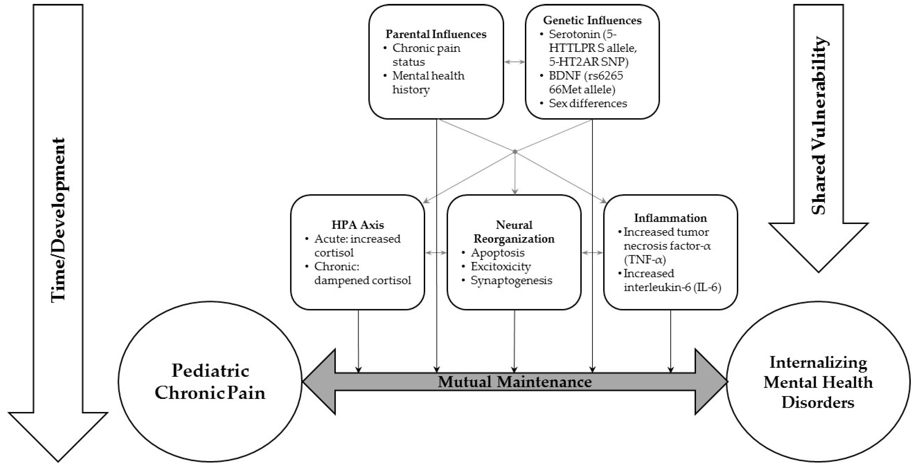 Children | Free Full-Text | Mental Health Comorbidities in Pediatric  Chronic Pain: A Narrative Review of Epidemiology, Models, Neurobiological  Mechanisms and Treatment