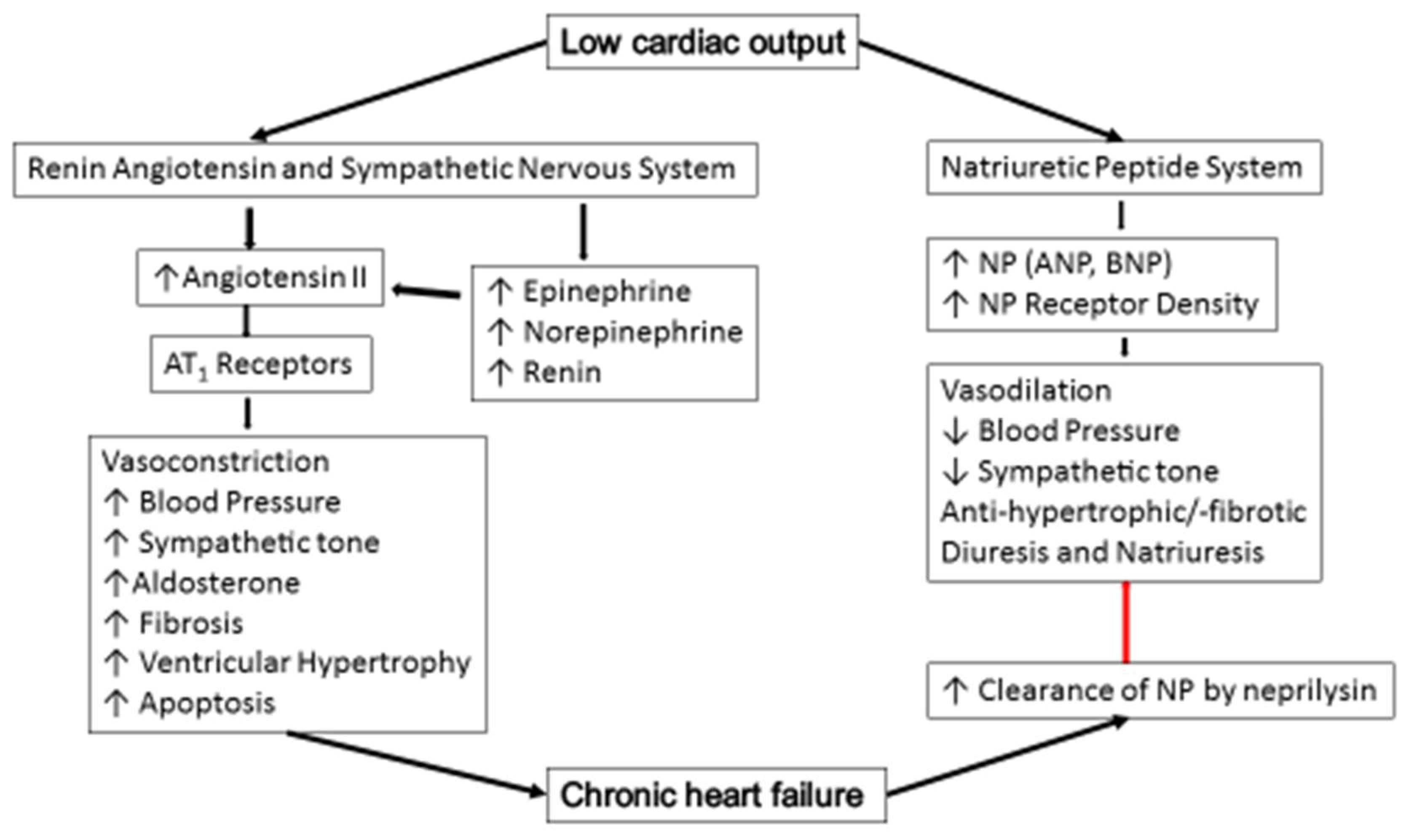 Children Free Full Text Current State Of Pediatric Heart Failure Html