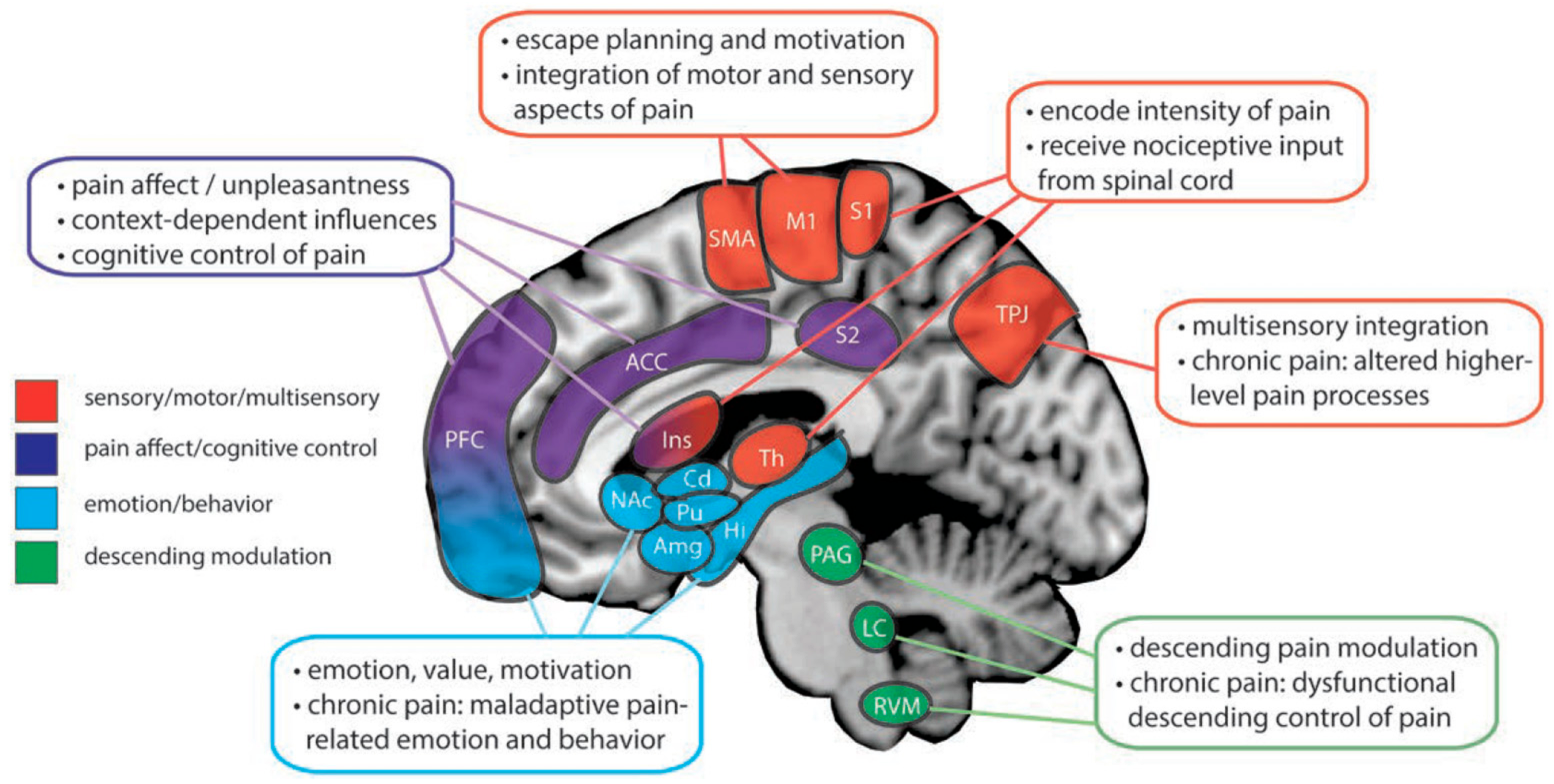 End pain. Structure of Pain. Learnings painful process. Escape from the Pain. Picture process of Pain.