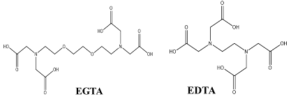 Children 07 00307 i001 Children 07 00307 i001