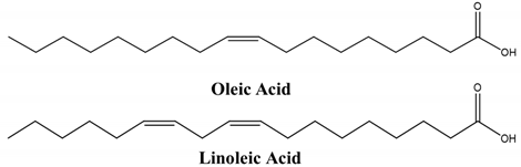 Children 07 00307 i004 Children 07 00307 i004