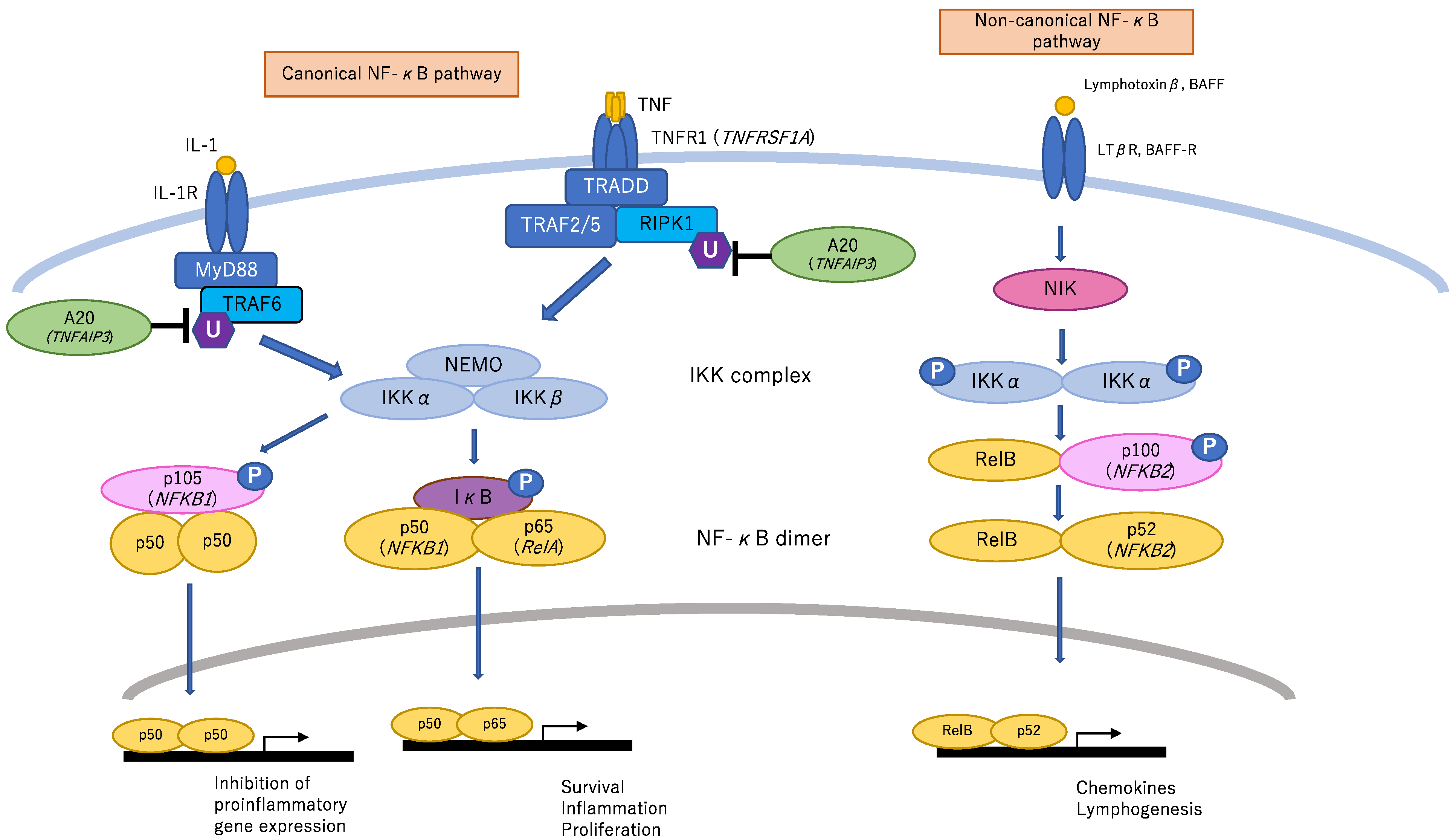 Children 08 00075 g001