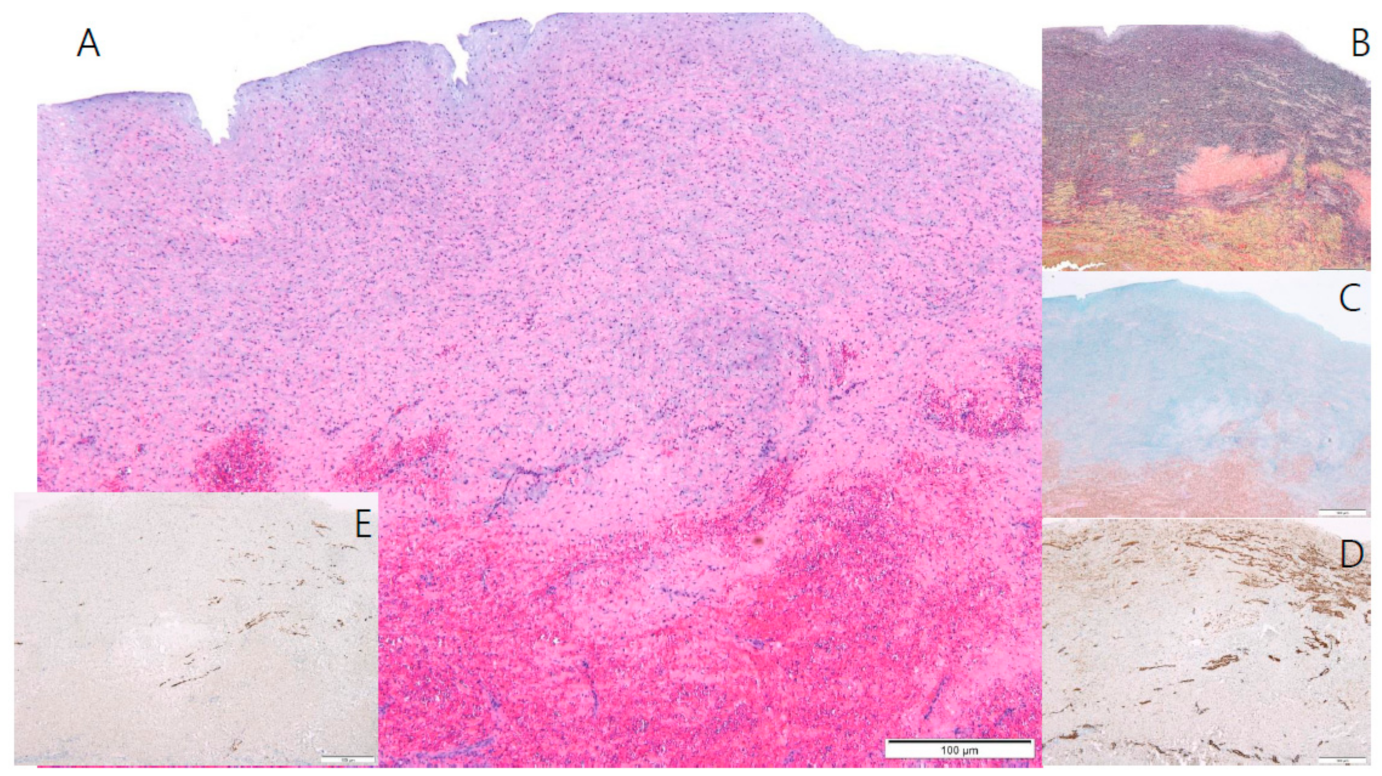 Children 08 00190 g003 Children 08 00190 g003