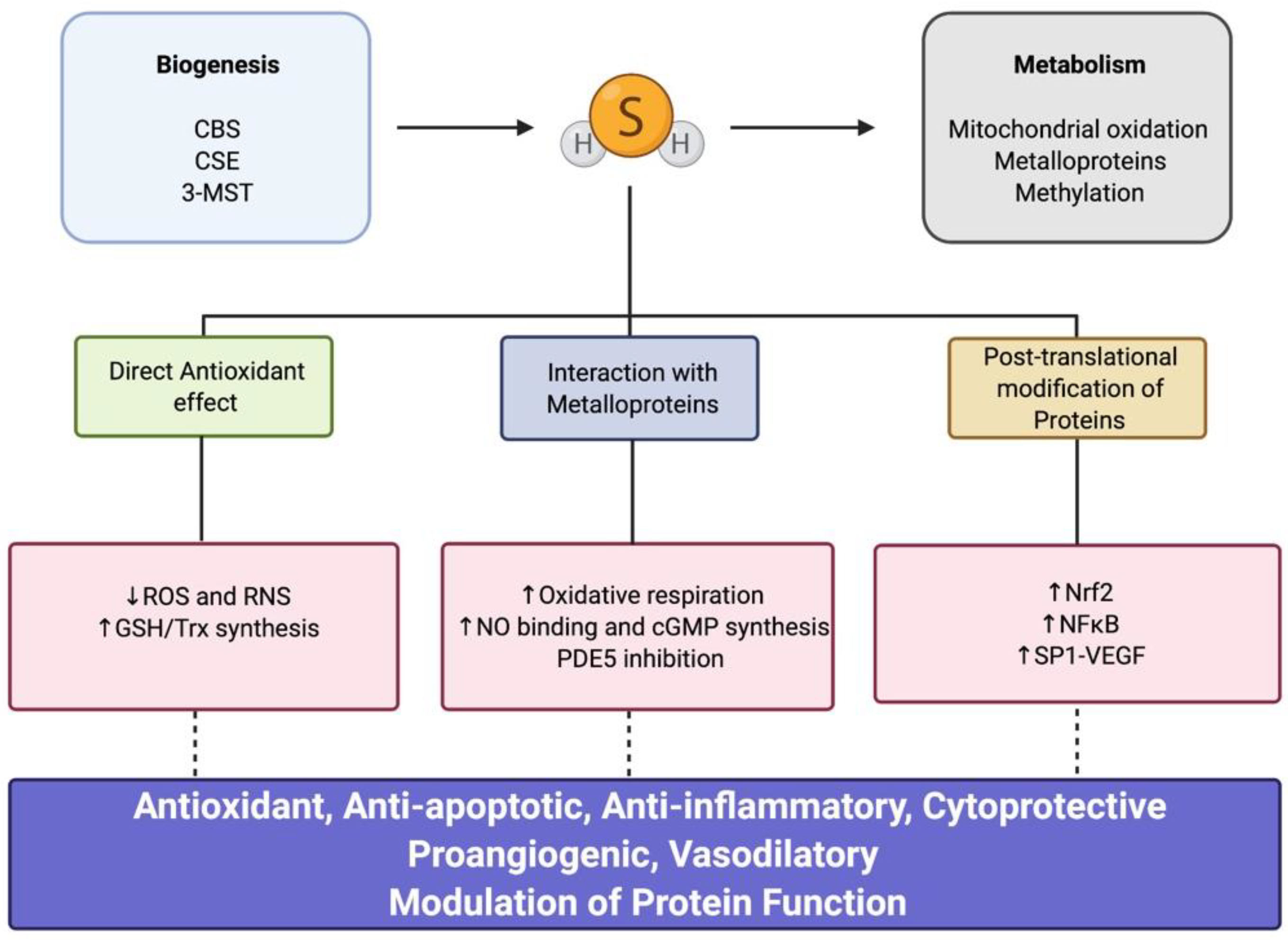 Children 08 00213 g002 Children 08 00213 g002