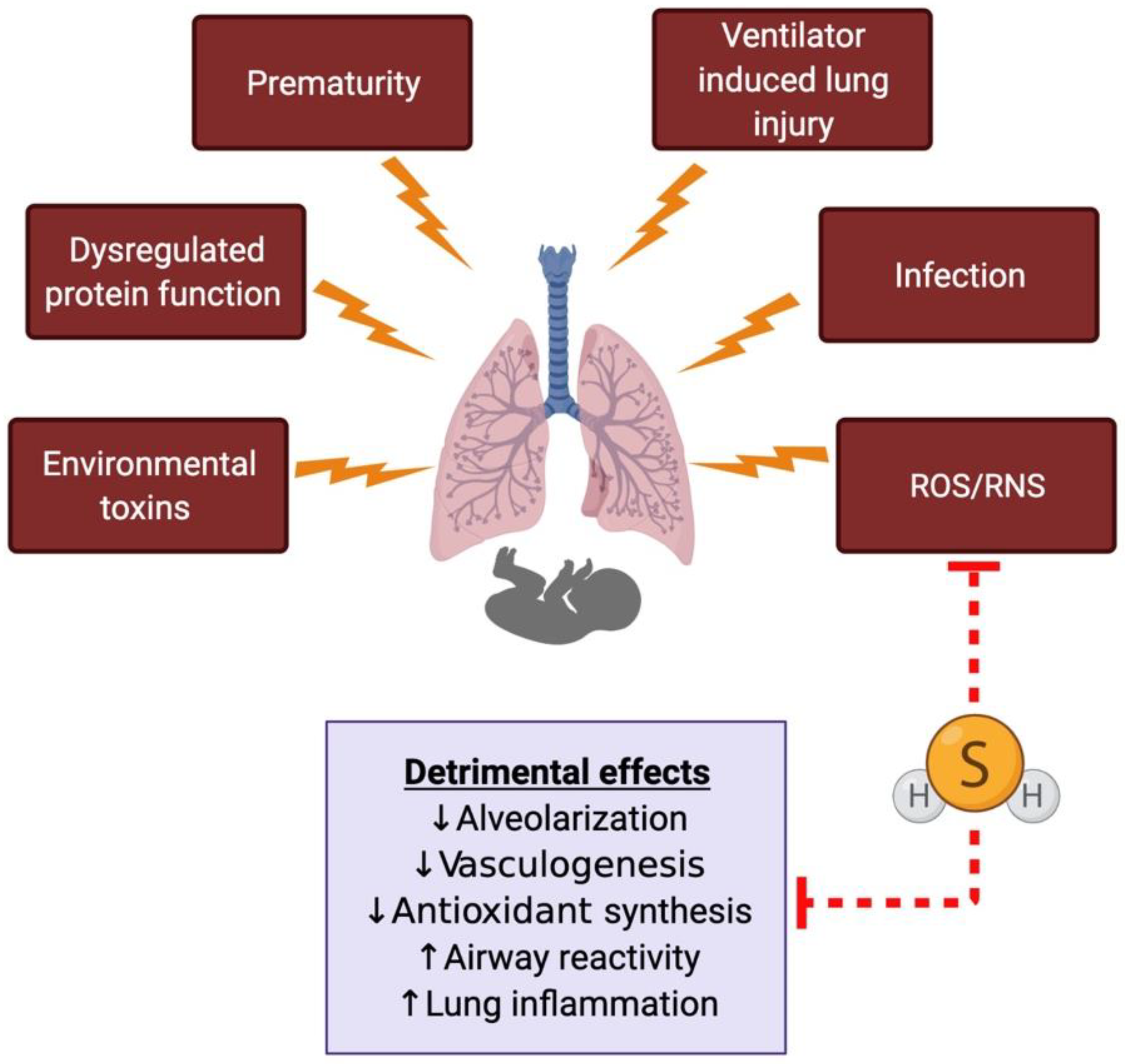 Children 08 00213 g003 Children 08 00213 g003