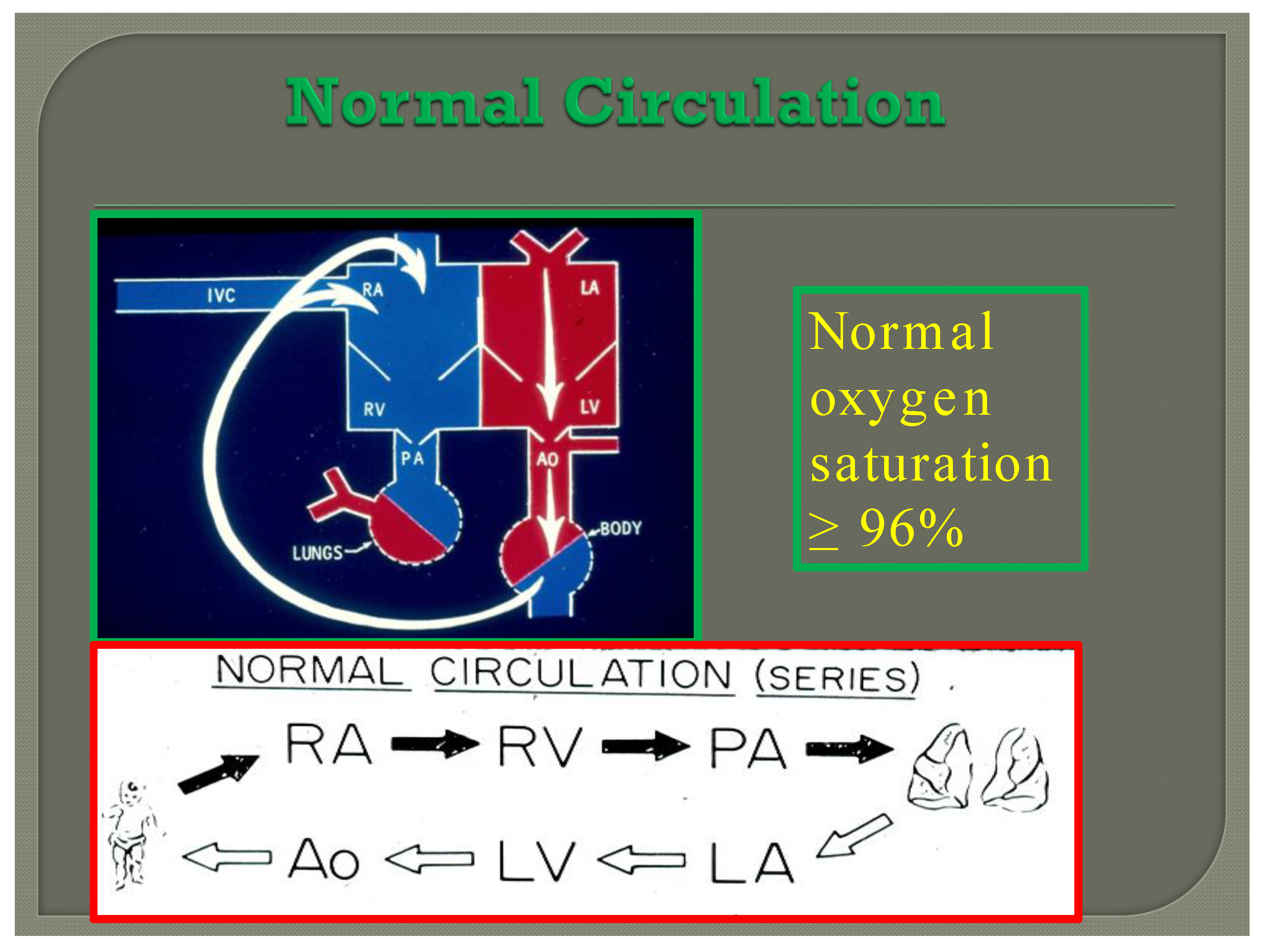 Children 08 00441 g007 Children 08 00441 g007