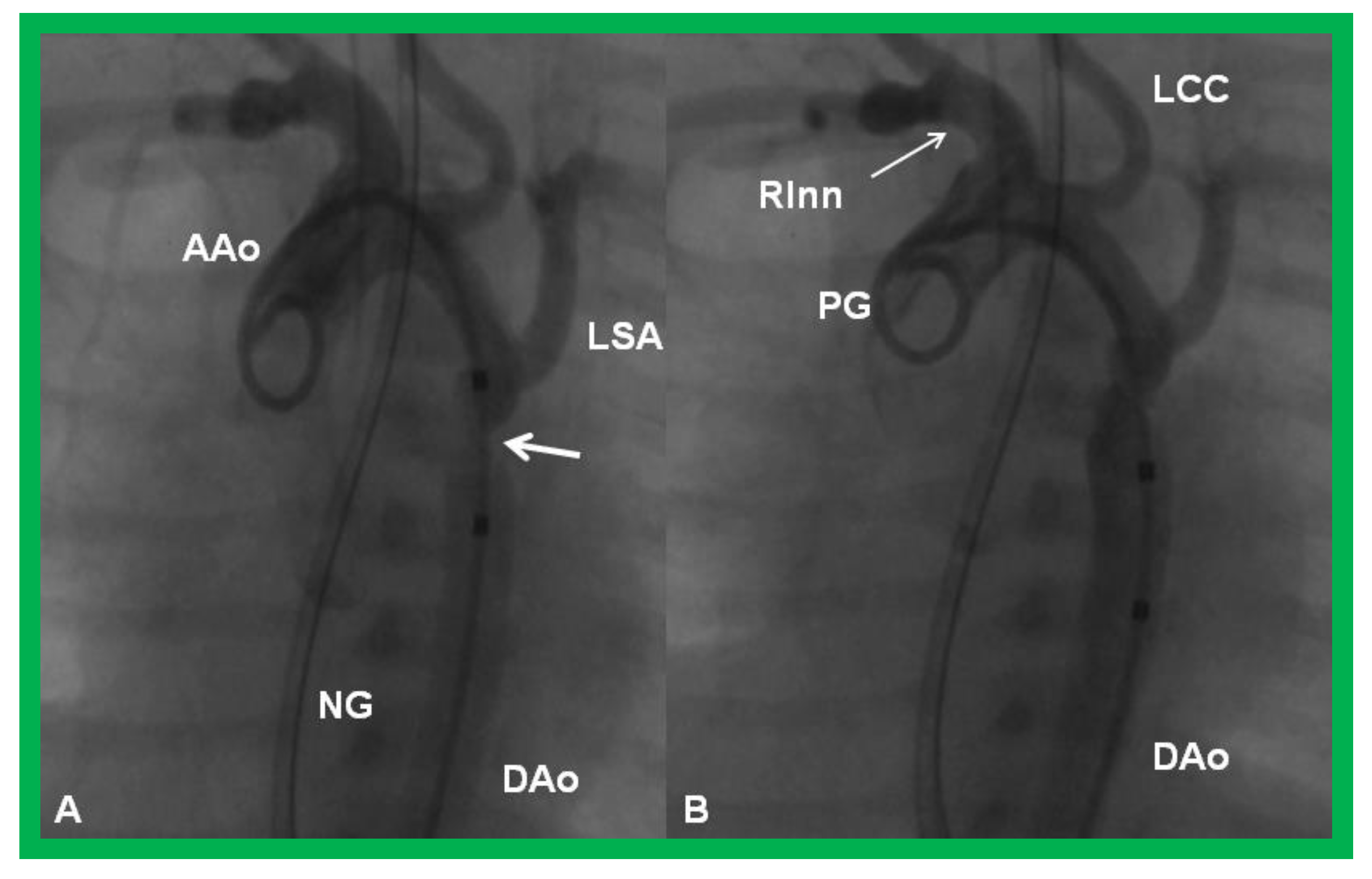 Children 08 00441 g023 Children 08 00441 g023