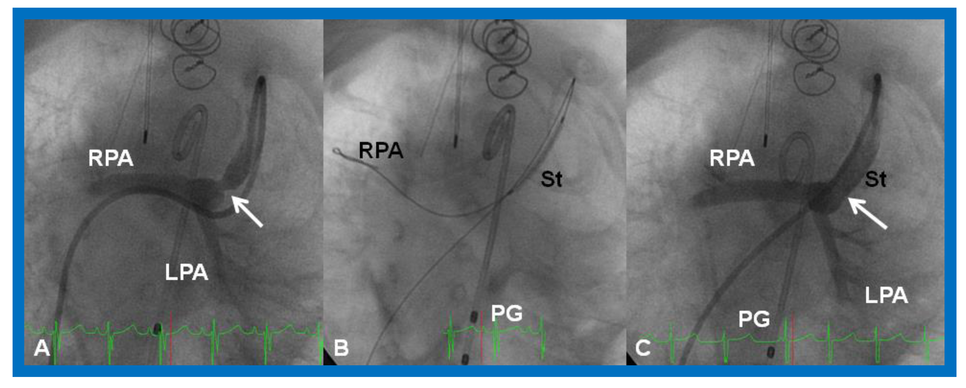 Children 08 00441 g029 Children 08 00441 g029