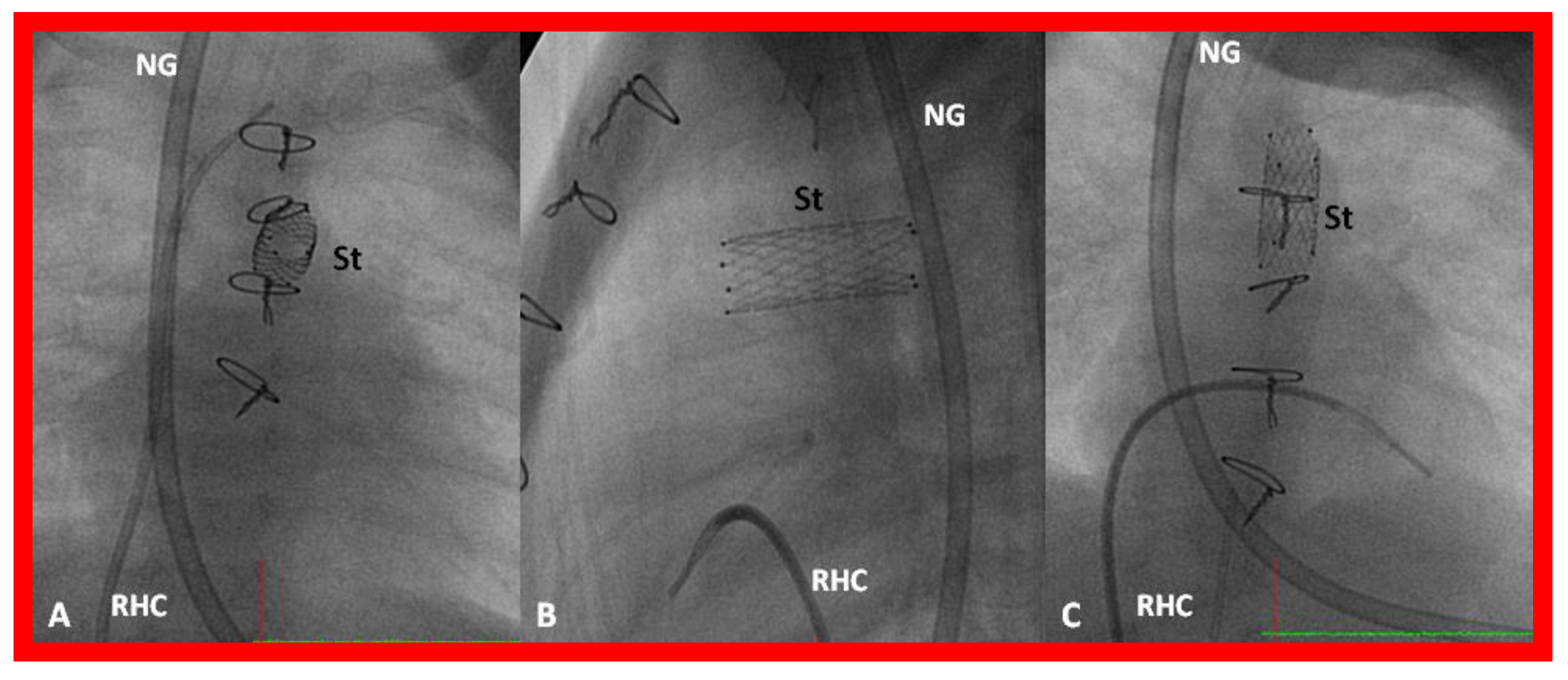 Children 08 00441 g030 Children 08 00441 g030