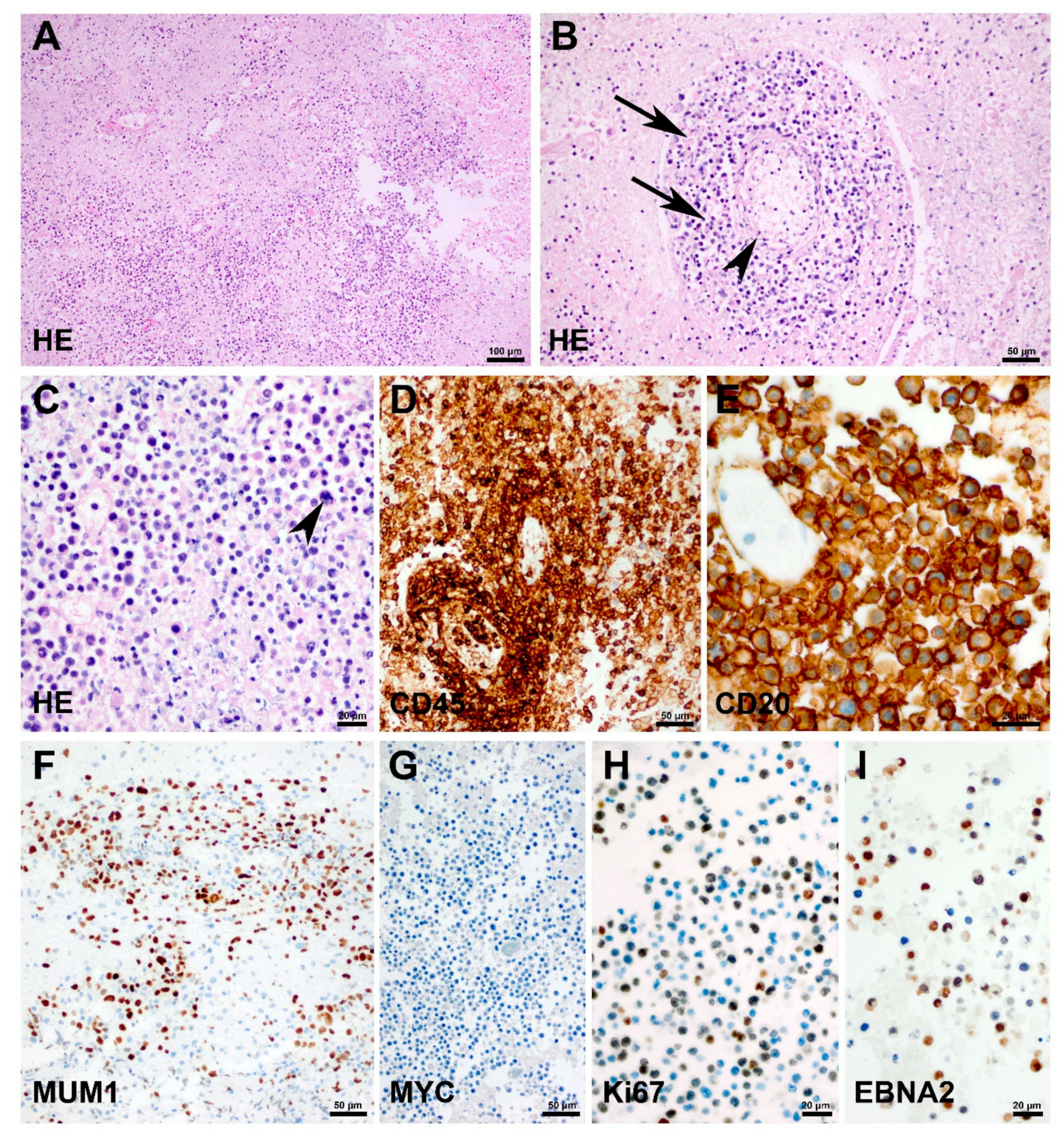 Children 08 00469 g002 Children 08 00469 g002