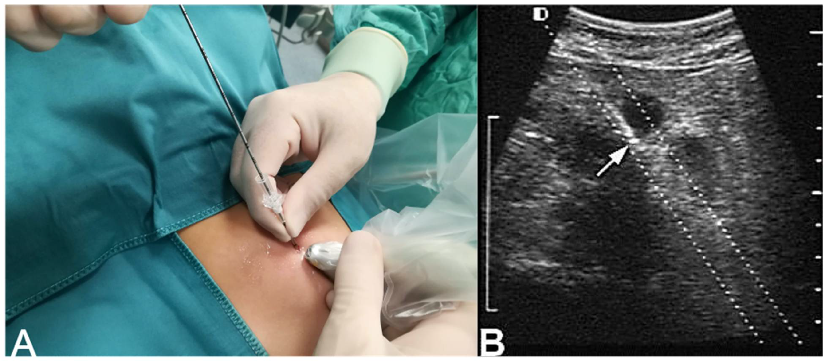 Children 08 00500 g001 Children 08 00500 g001