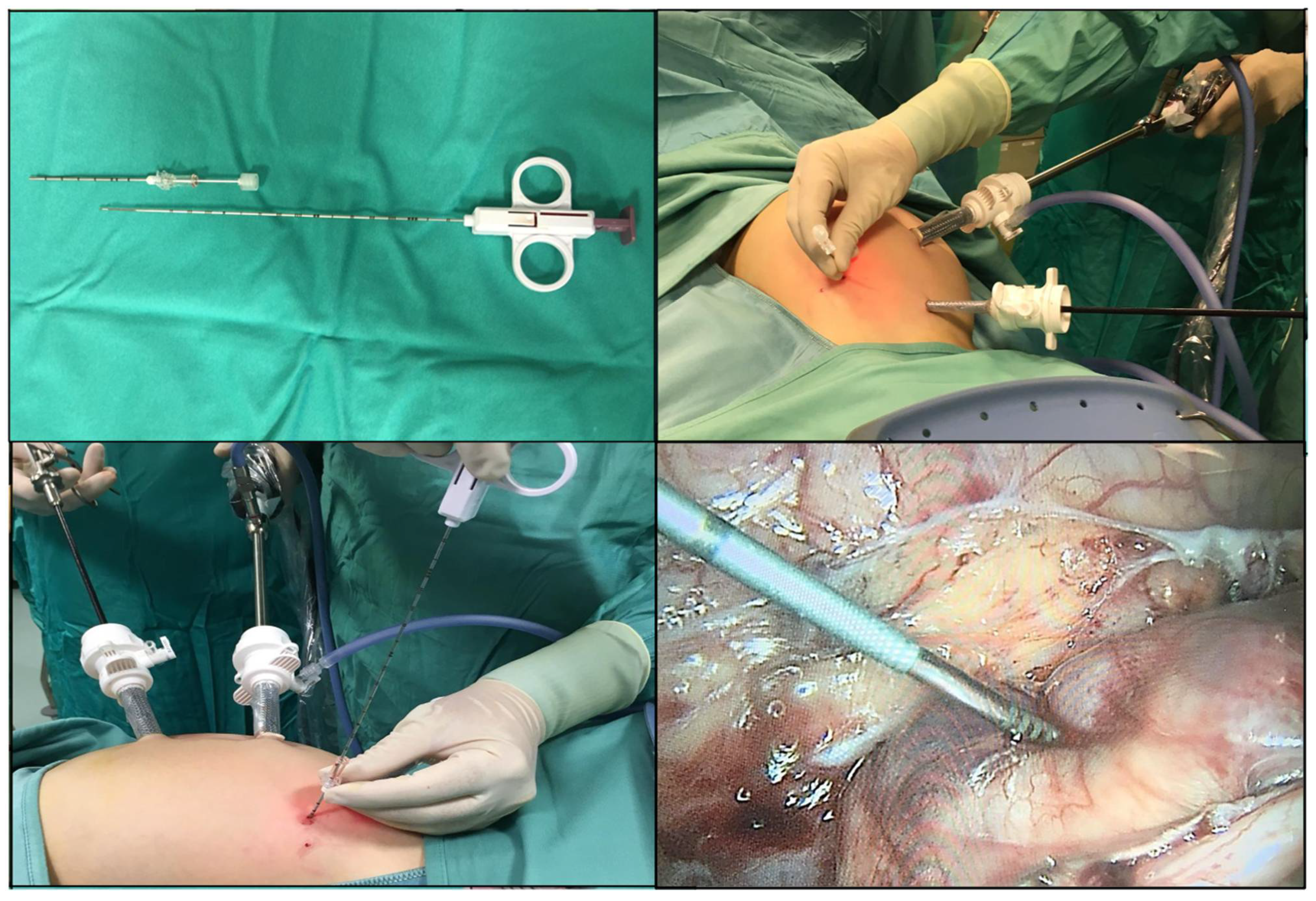 Children 08 00500 g002 Children 08 00500 g002