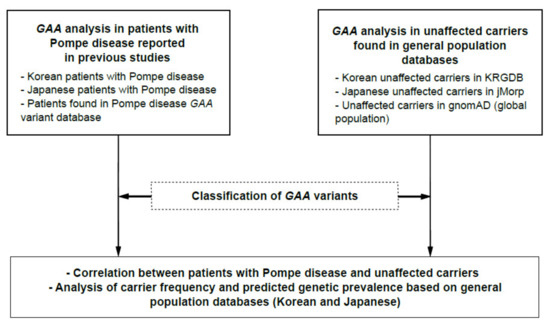 Children | Free Full-Text | Two Approaches for a Genetic Analysis of Pompe  Disease: A Literature Review of Patients with Pompe Disease and Analysis  Based on Genomic Data from the General Population