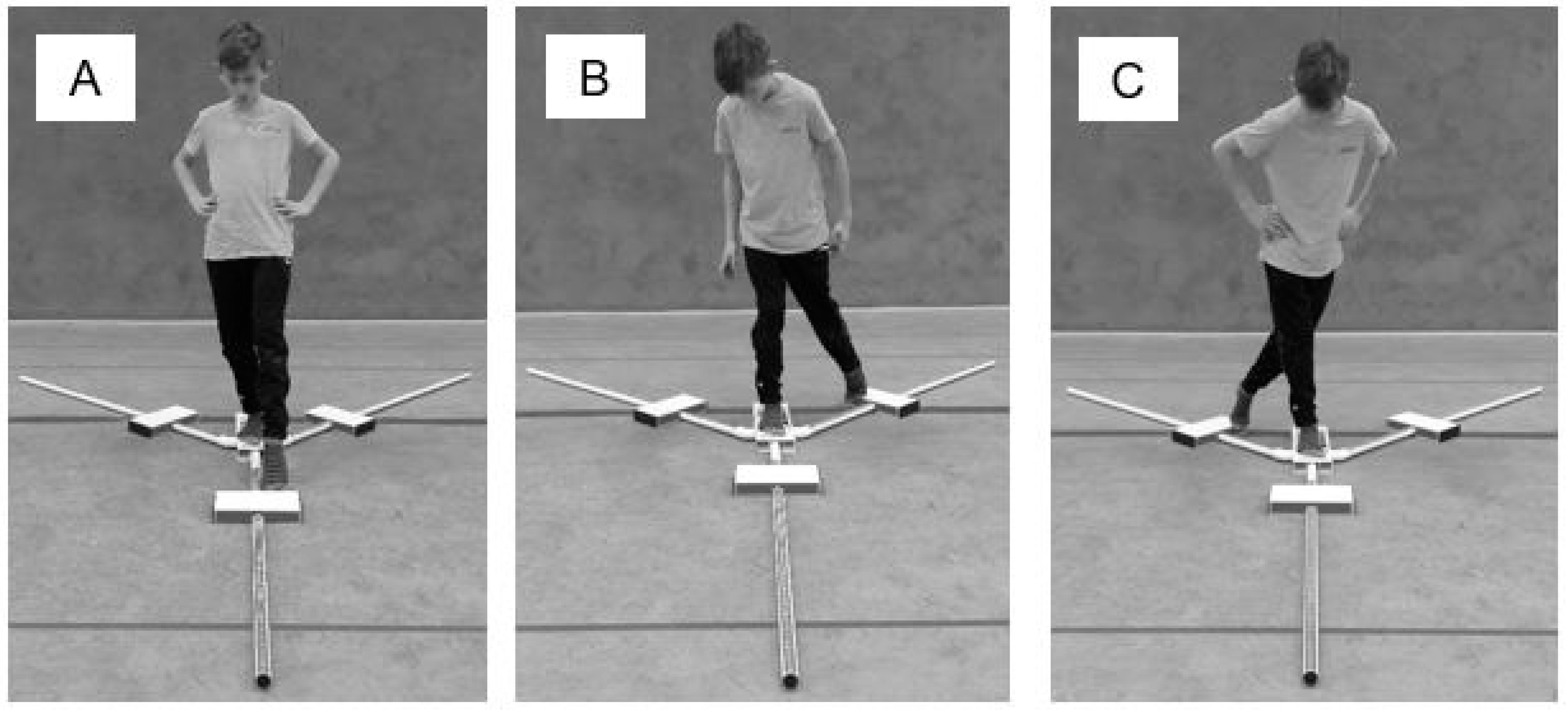 Children | Free Full-Text | Comparison of Lower and Upper Quarter Y Balance  Test Performance in Adolescent Students with Borderline Intellectual  Functioning Compared to Age- and Sex-Matched Controls