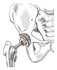 Children 08 00858 i007