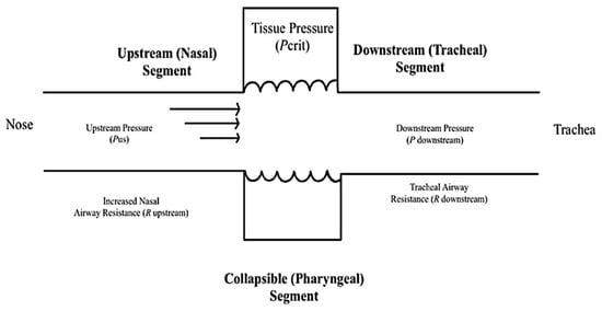 Swallowing Pressure Variability as a Function of Pharyngeal Region, Bolus  Volume, Age, and Sex - Jones - 2021 - The Laryngoscope - Wiley Online  Library