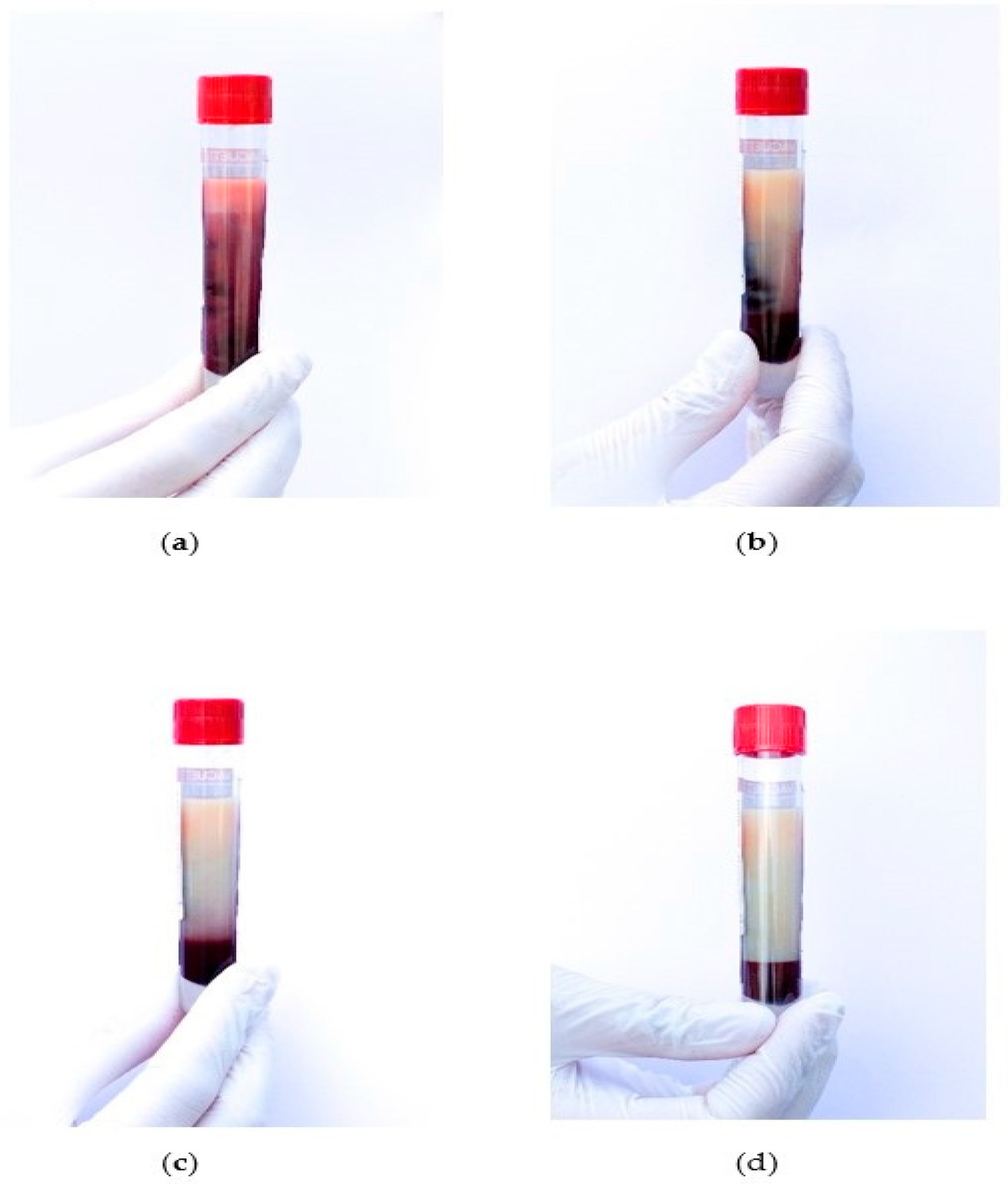 Children 08 01078 g001