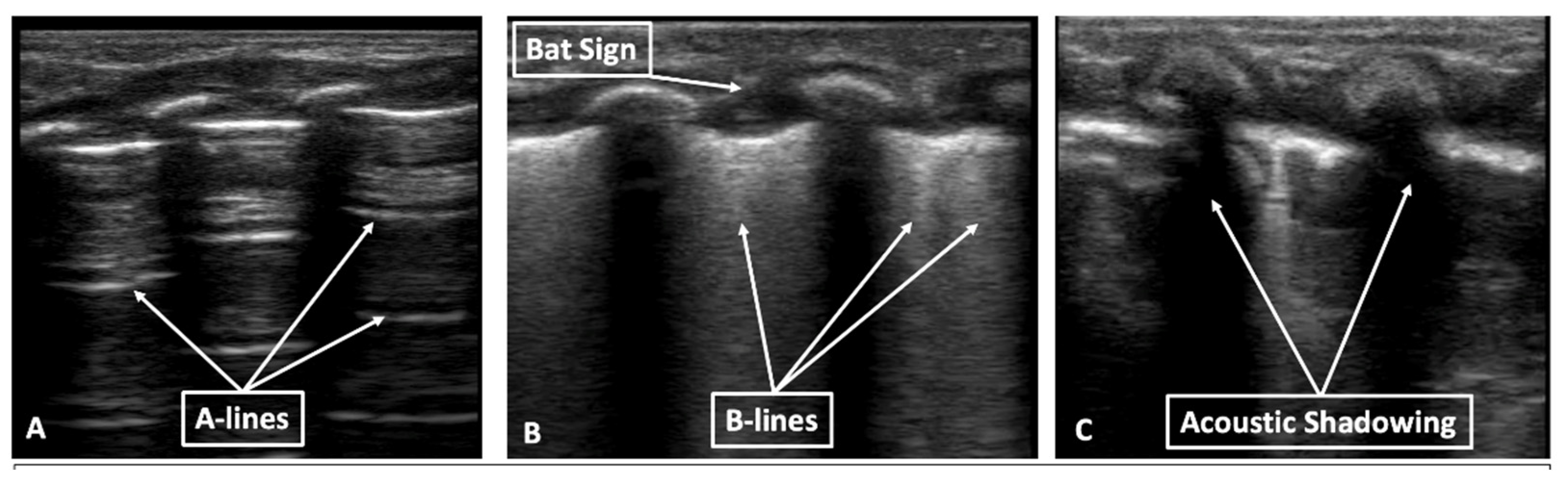 Children 08 01098 g002