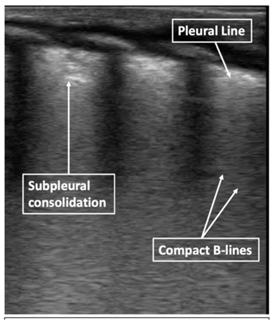 Children 08 01098 g006