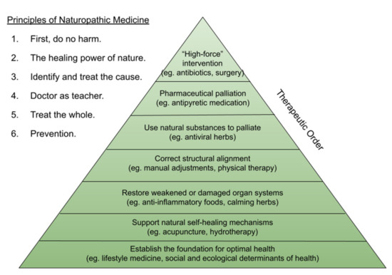 A Naturopathic Doctor's Role In Cancer Treatment