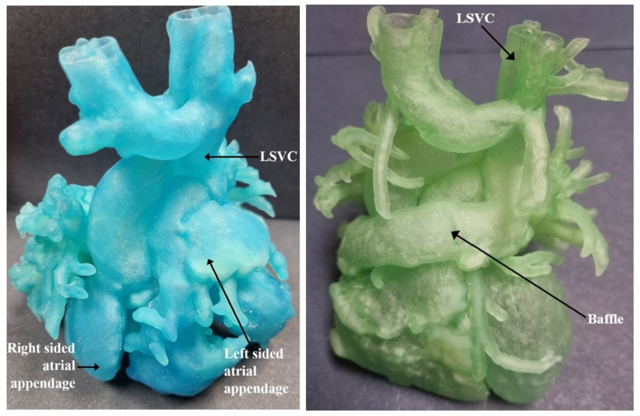 Children 09 00184 g007