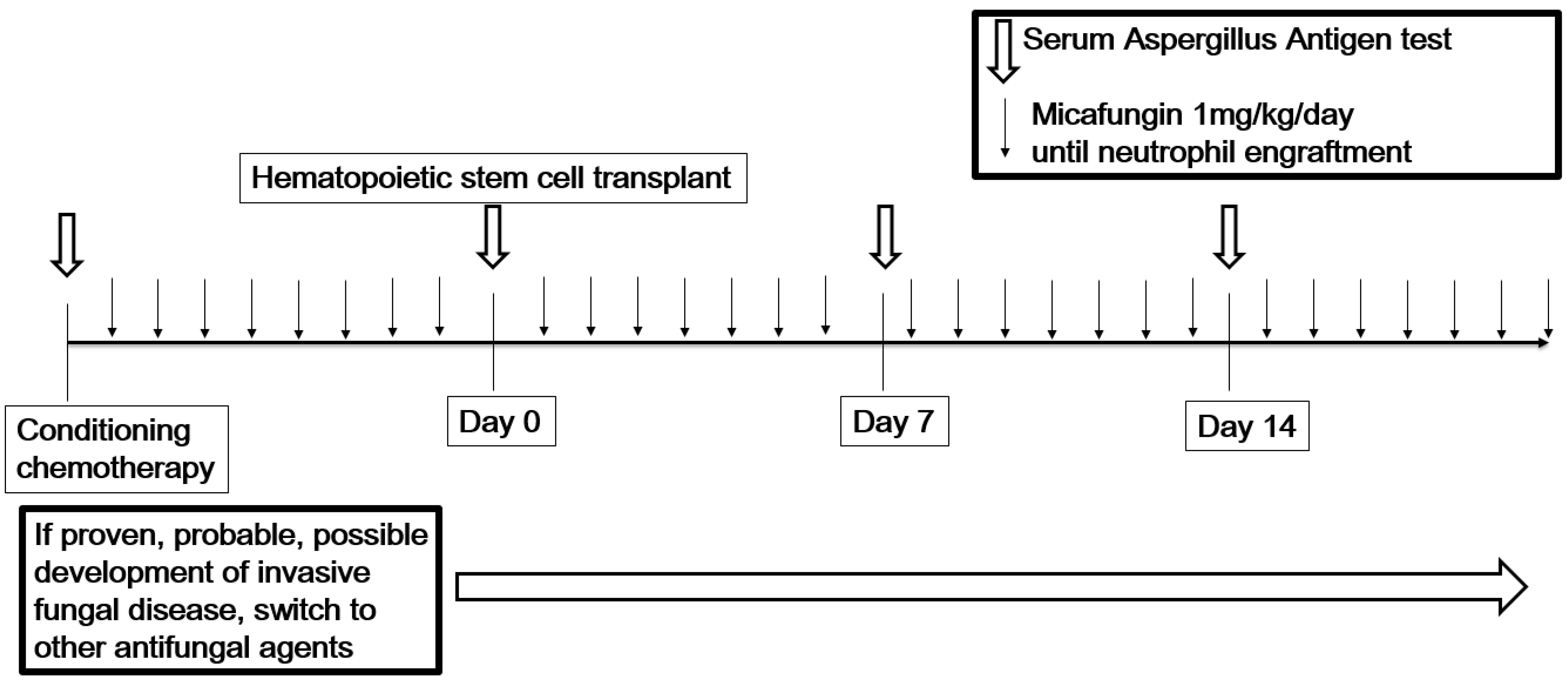 Guidelines for Preventing Opportunistic Infections Among Hematopoietic Stem  Cell Transplant Recipients