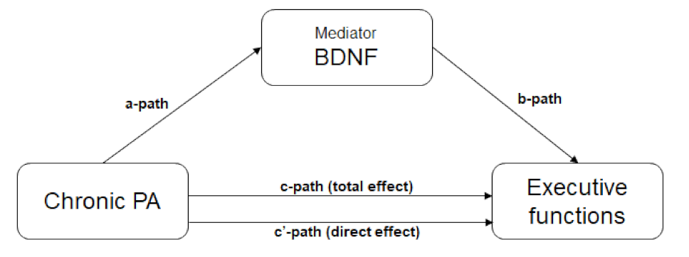 Children 09 00596 g003